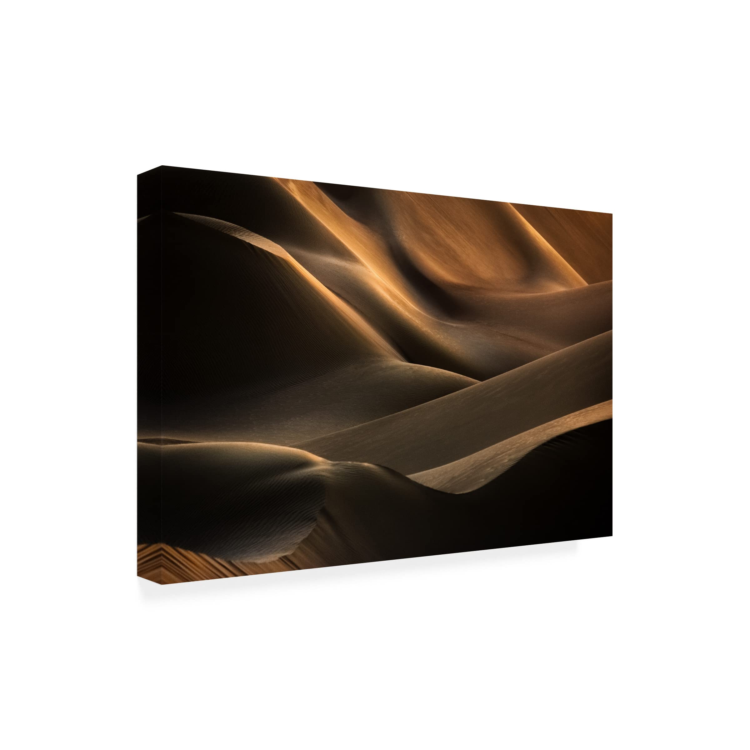 Babak Mehrafshar 'Clamorous Desert' Canvas Wall Art Print - Modern Abstract Landscape Painting for Living Room, Bedroom & Office Decor