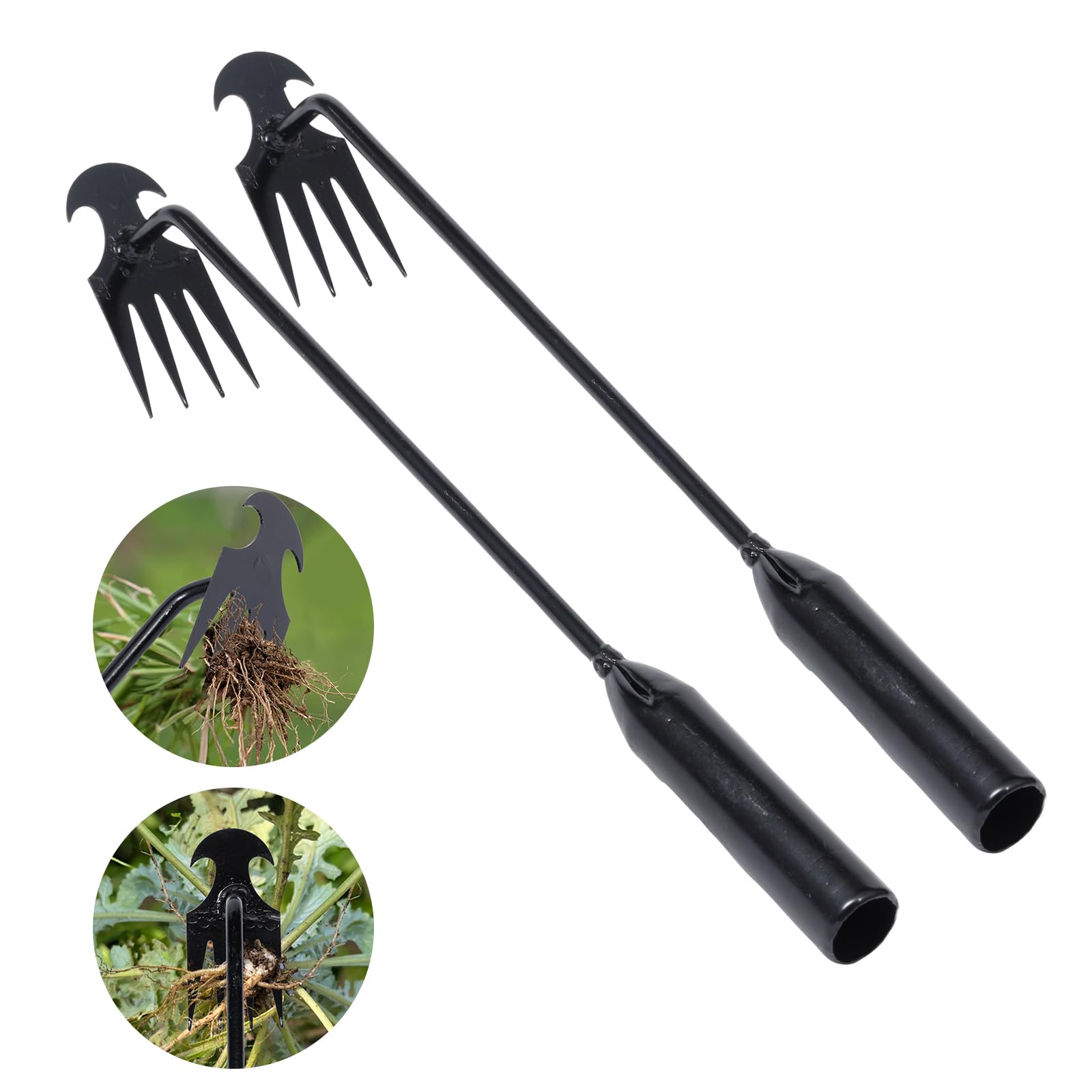 4-Toothed Manganese Steel Garden Weed Puller Tool - Heavy Duty Weeding & Uprooting Tool for Vegetable Gardening (2 Pack, 16 Inch, Black) | Perfect for Lawn Care, Flower Beds & Organic Farming