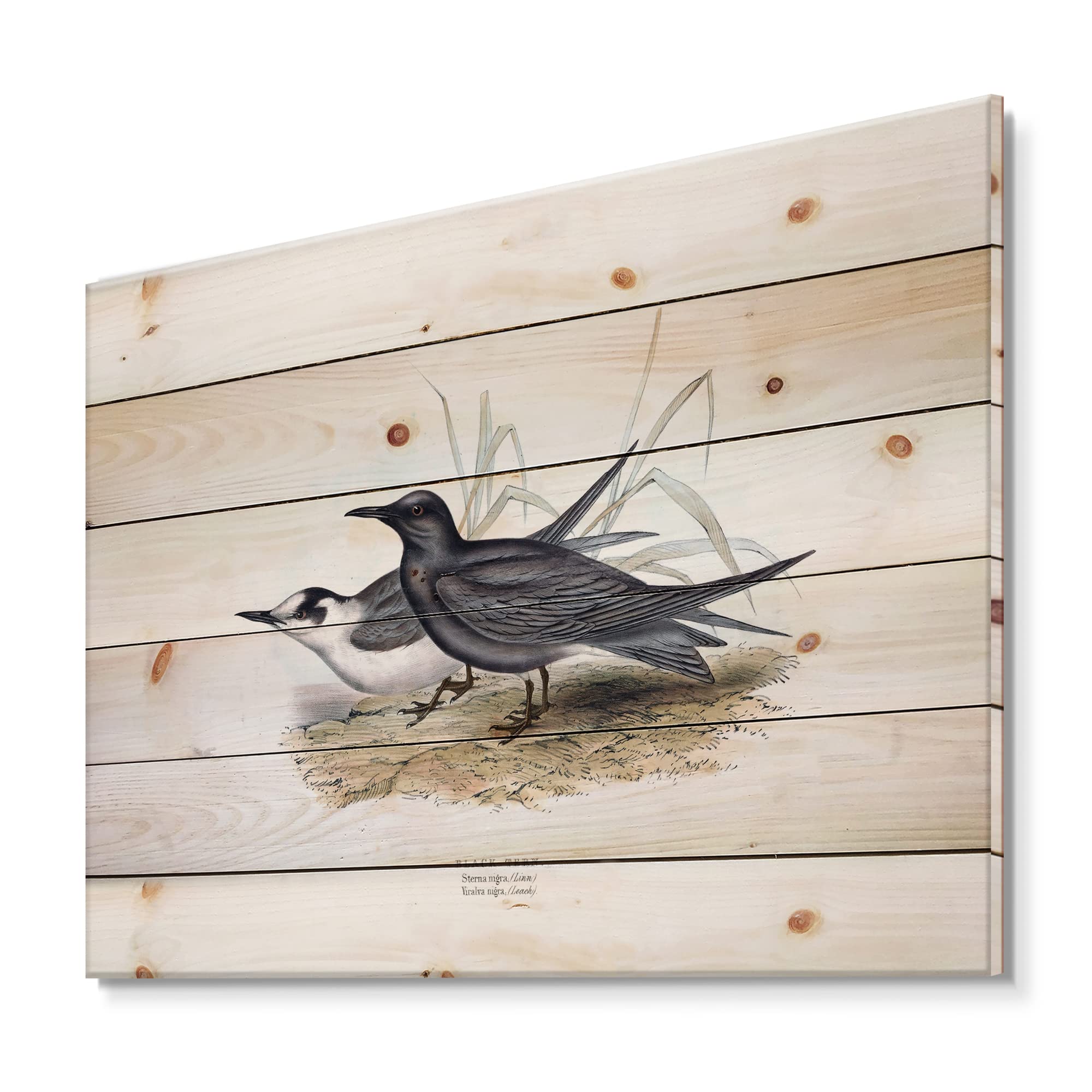 Vintage European Bird Wood Wall Art - Traditional Grey Wooden Decor, Large Animal Wall Panels Printed on Natural Pine - Perfect for Living Room, Bedroom & Office Decor