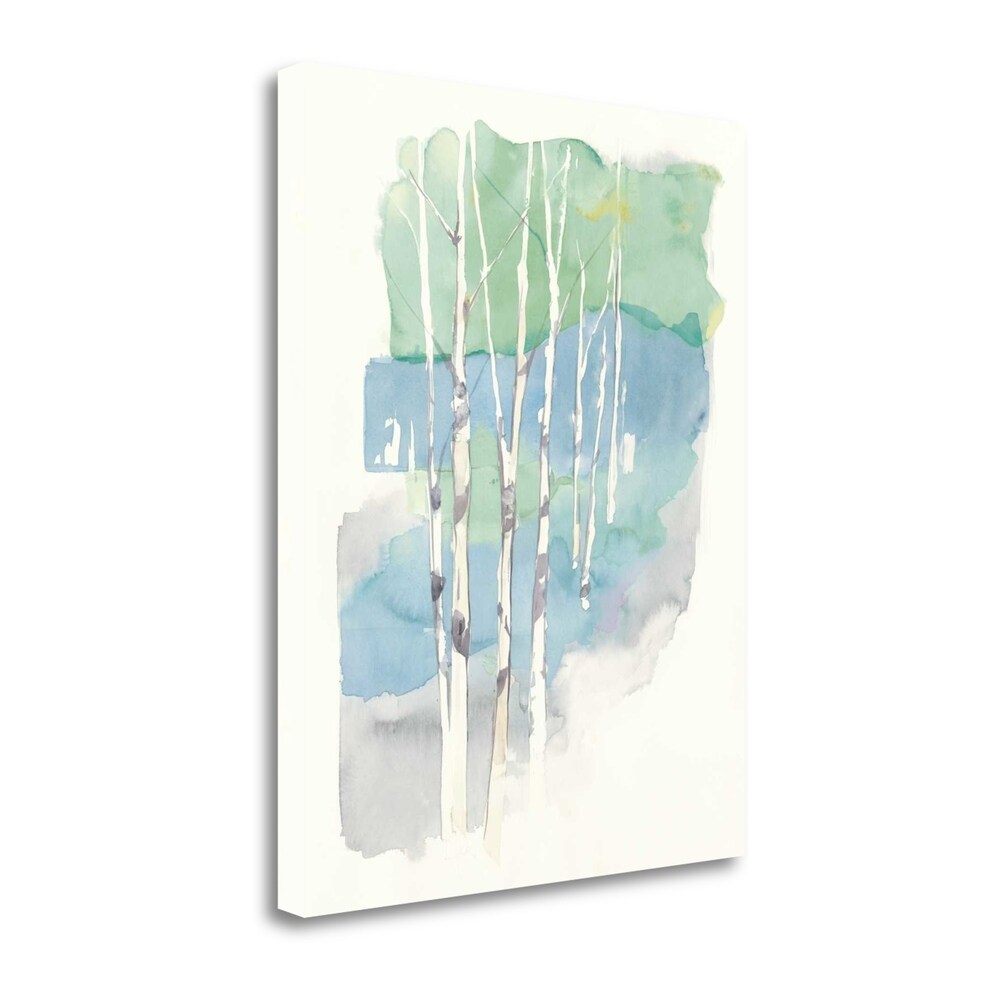 Aspens II By Avery Tillmon - Premium Fine Art Giclee Print on Gallery Wrapped Canvas - Ready to Hang Wall Art for Living Room, Bedroom & Office Decor