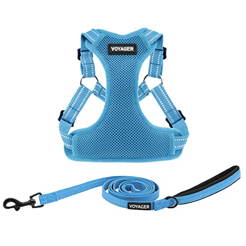 Harness Leash Set (Baby Blue)