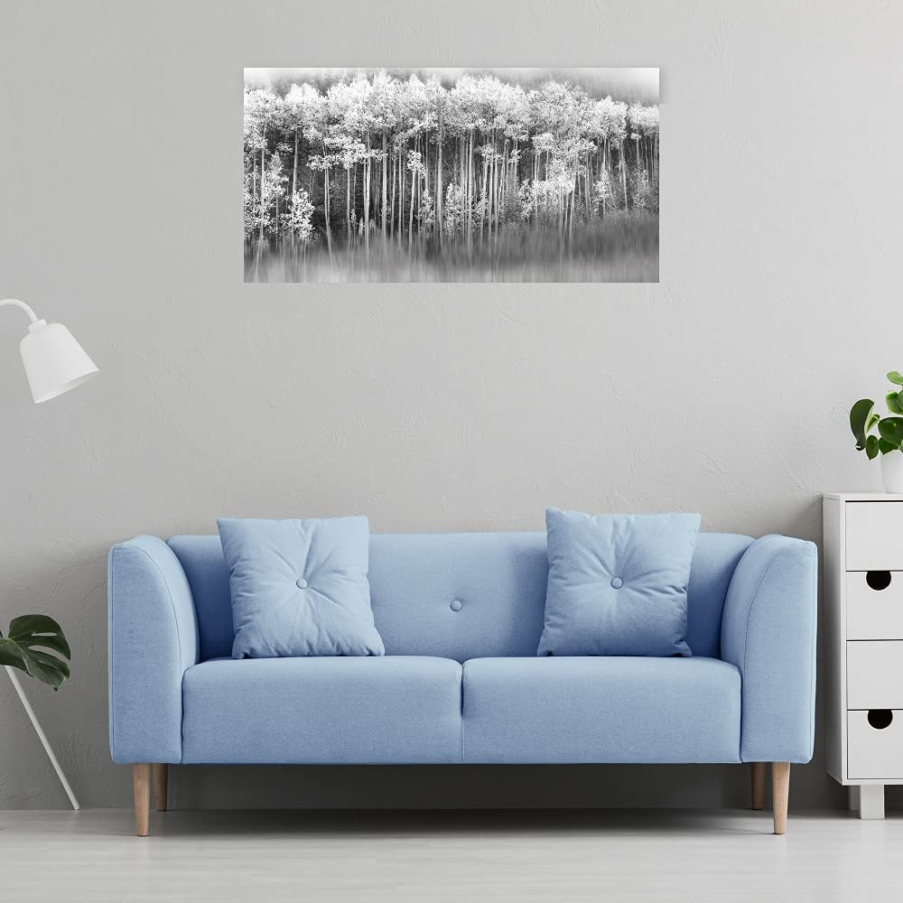 Dreamy Aspen Forest Canvas Wall Art Print by Danita Delimont - 40x21 Inch Ready to Hang Painting for Living Room, Bedroom, Office Decor - Nature Landscape Artwork for Home & Commercial Spaces
