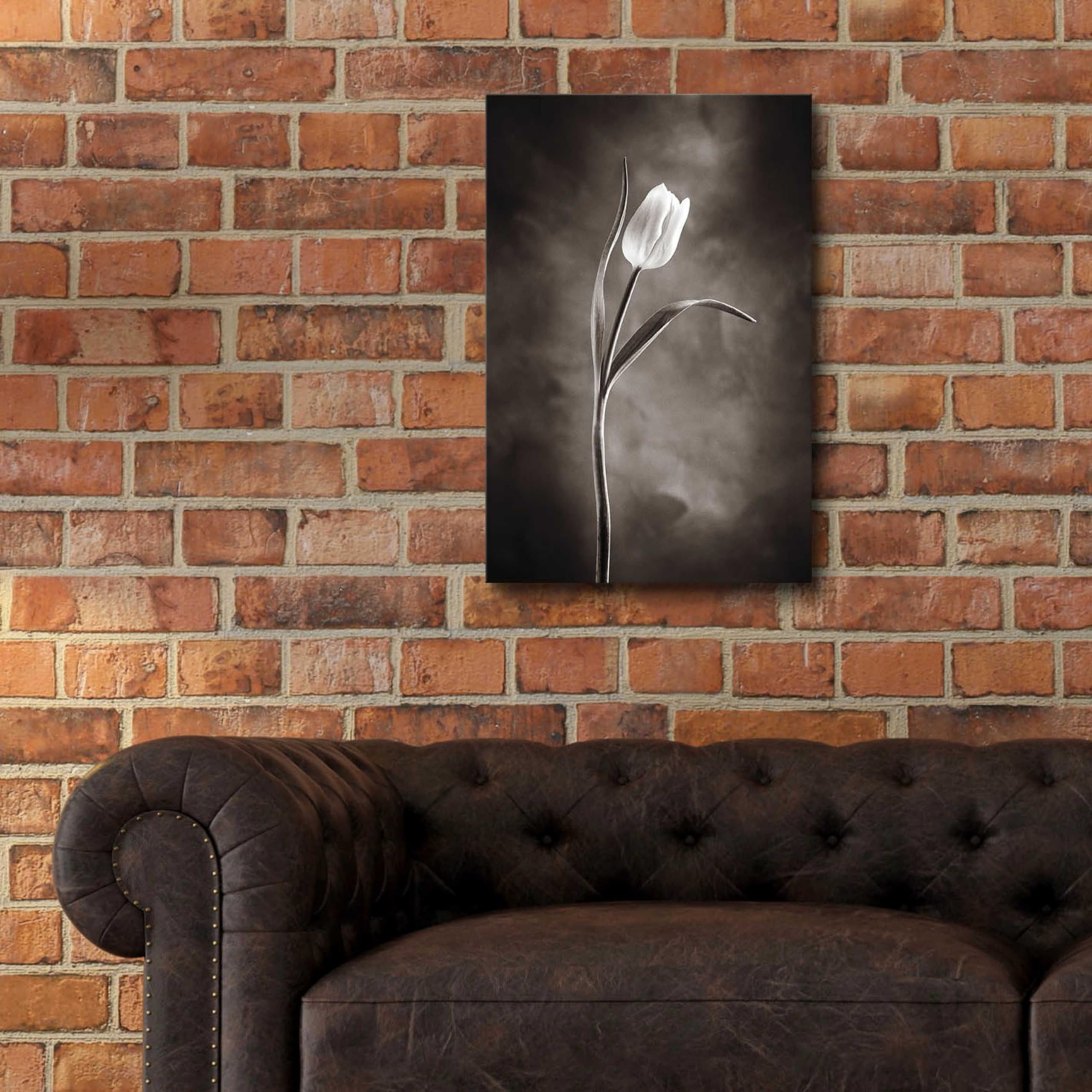 Two Tone Tulips I Acrylic Glass Wall Art by Debra Van Swearingen - 16x24 Inches Modern Floral Painting for Living Room, Bedroom & Office Decor
