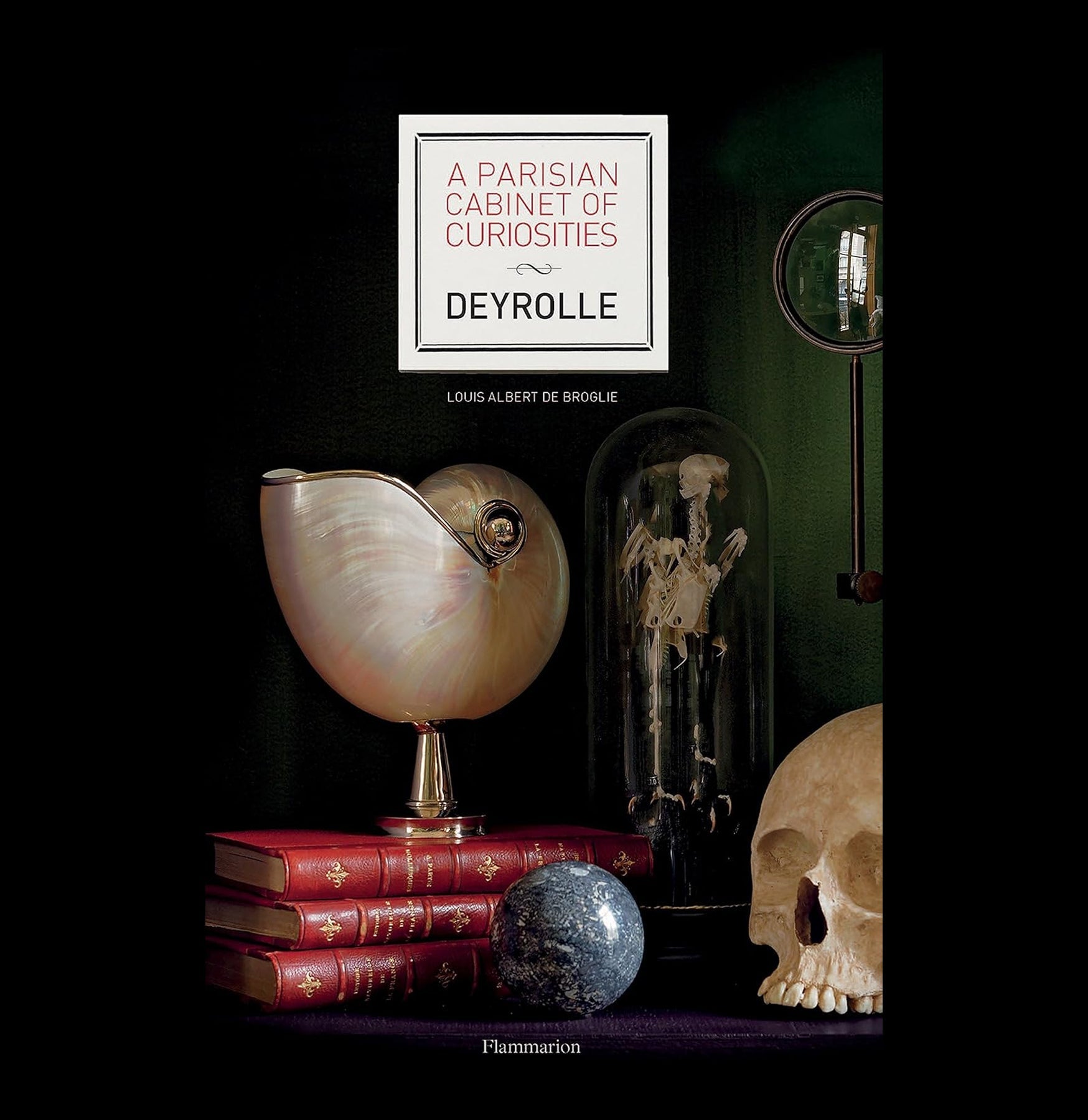 Deyrolle Parisian Cabinet of Curiosities - Vintage Natural History Display & Taxidermy Collection for Home Decor, Office Display, and Educational Use