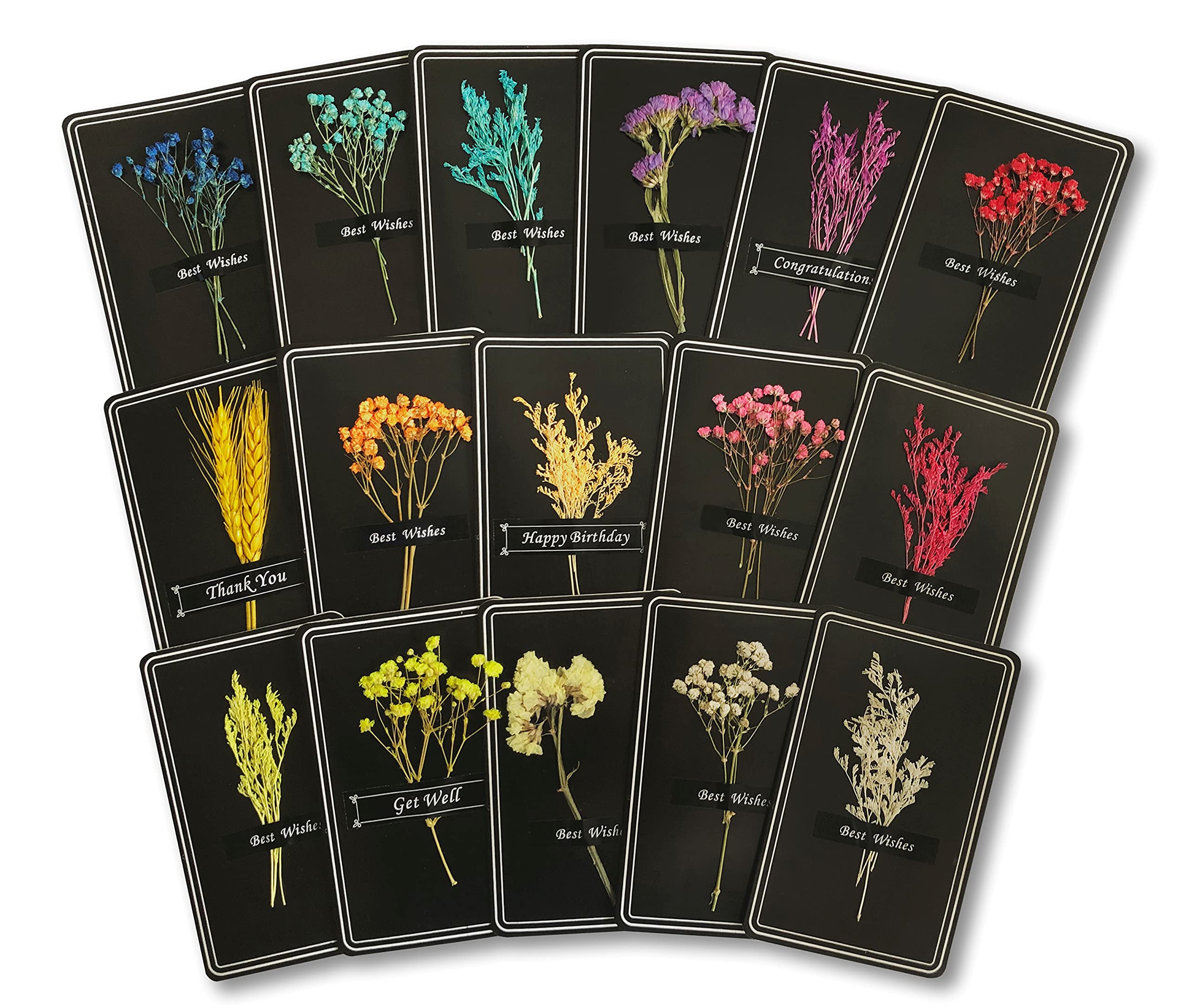 Handmade Greeting Cards with Real Pressed Flowers - All Occasion Blank Note Cards Set with Envelopes | Birthday, Thank You, Thinking of You Cards for Women | Perfect for Gift Giving, Wedding Invitations & Home Decor