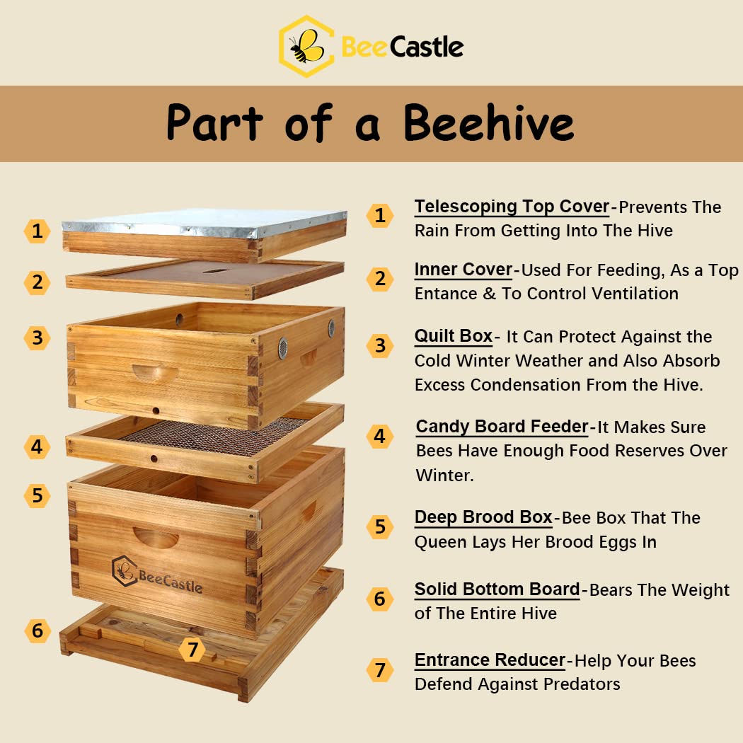 BeeCastle 10 Frame Assembled Beehive Candy Board Feeder - Winter Bee Feeding Solution for Honey Bees | Ideal for Beekeeping, Hive Maintenance & Cold Weather Beekeeping Supplies