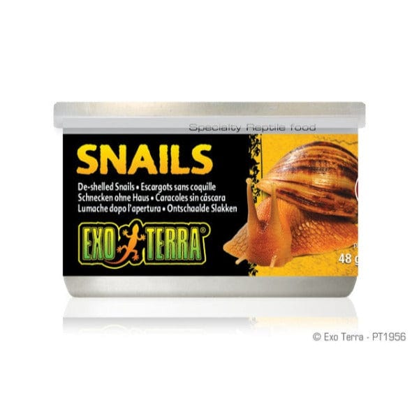 Exo Terra Canned Snails - Premium Reptile Food for Turtles, Lizards & Amphibians - High Protein Diet for Healthy Pets - Ideal for Terrariums & Reptile Habitats