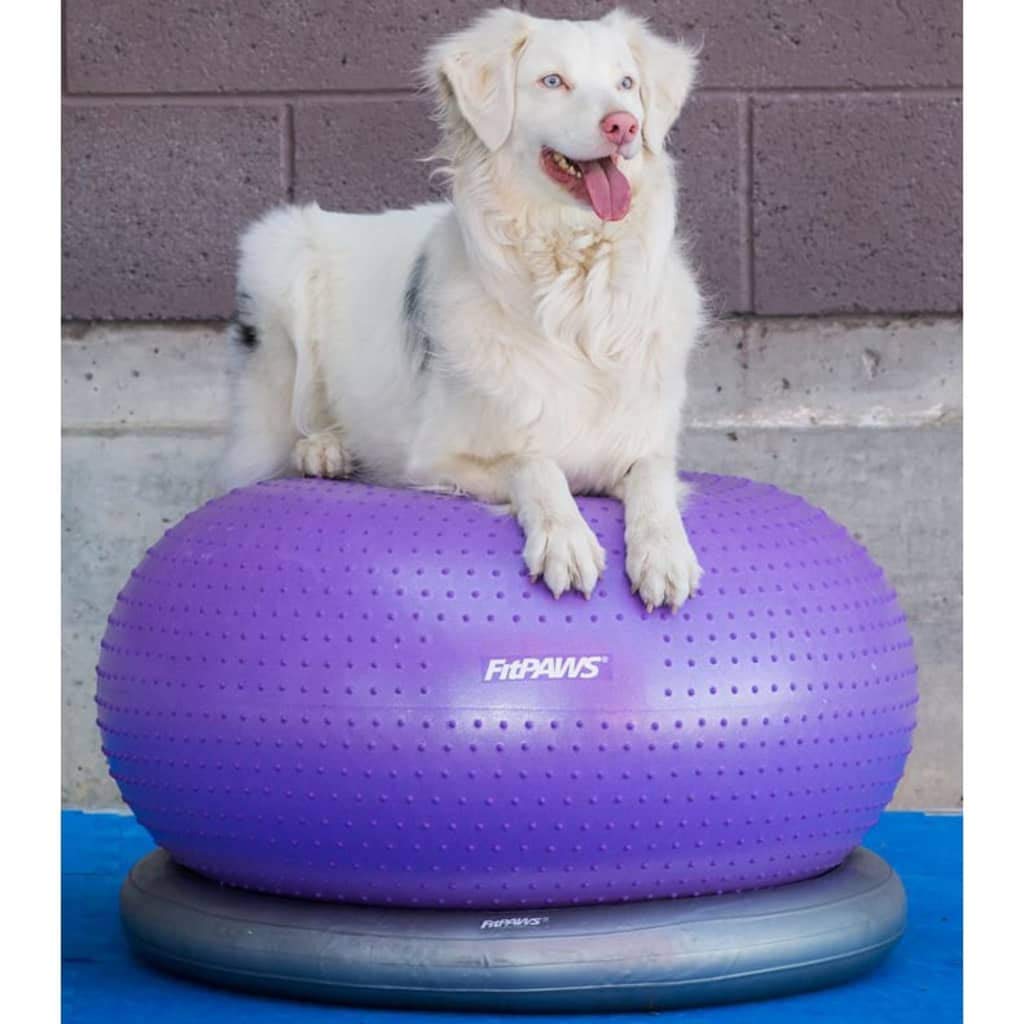 FitPAWS® TRAX™ Donut Dog Balance Training Platform - Core Strength & Stability Exercise Equipment for Canine Fitness - Perfect for Agility Training, Rehabilitation & Indoor Workouts