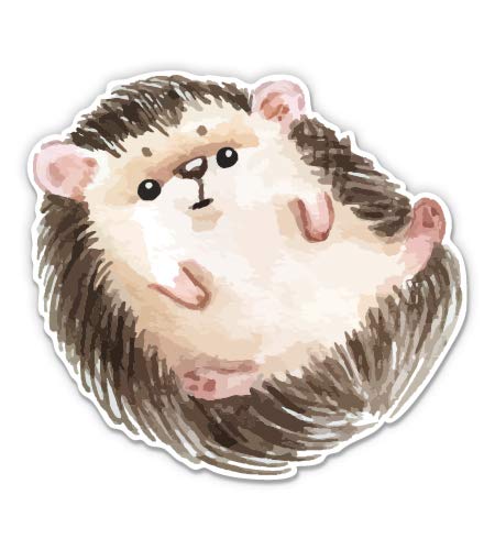 Cute Hedgehog 3
