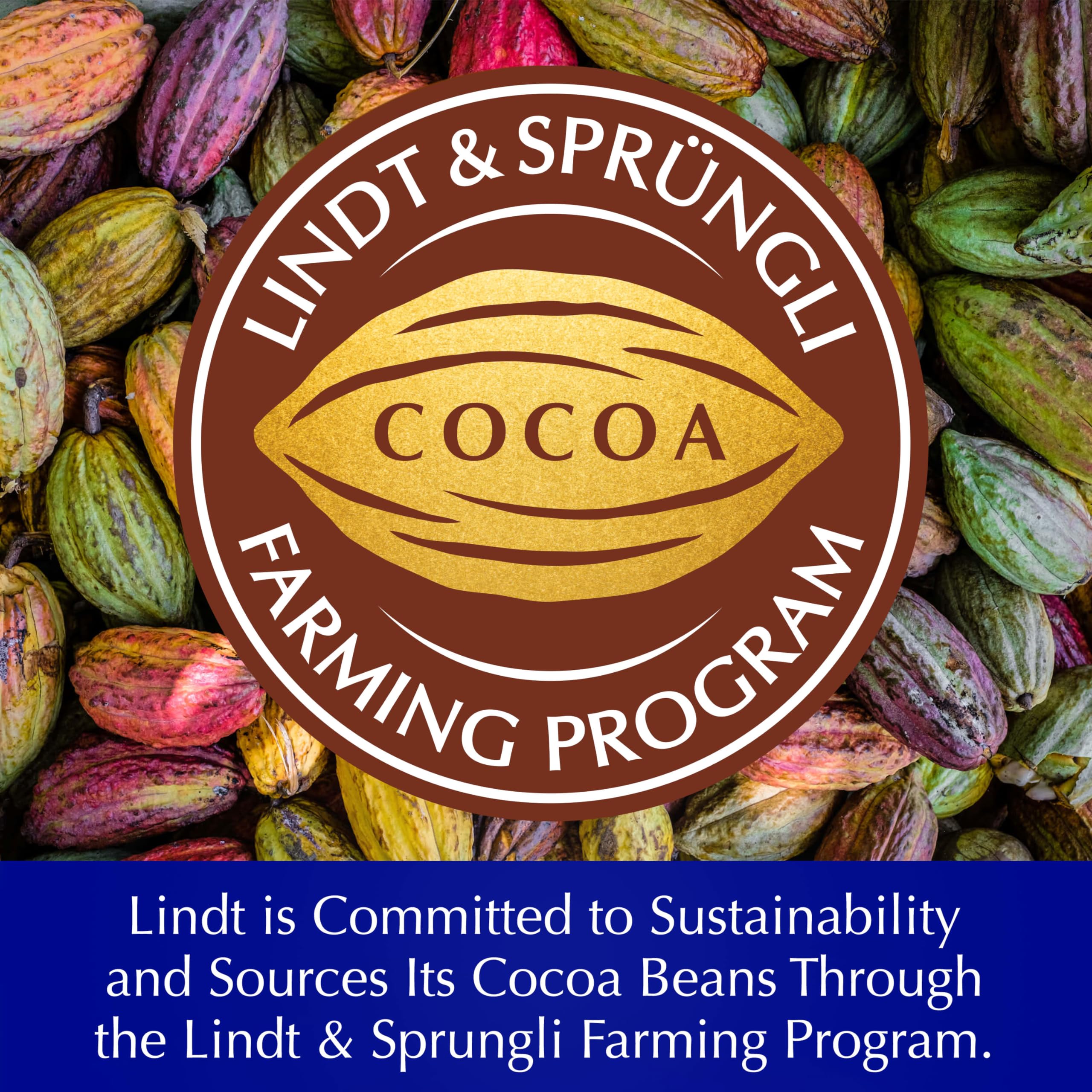 Lindt CLASSIC RECIPE Whole Hazelnut Dark Chocolate Candy Bar - Premium Swiss Dark Chocolate with Roasted Hazelnuts, 5.3 oz (14 Pack) - Perfect for Gifts, Parties & Chocolate Lovers