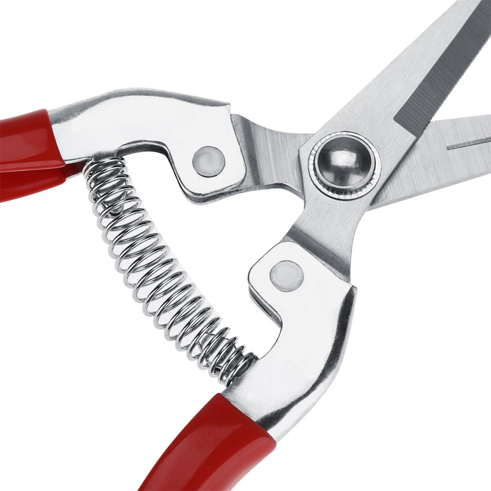 Sturdy Stainless Steel Pruning Shears for Gardening, Fruit Trees & Bonsai