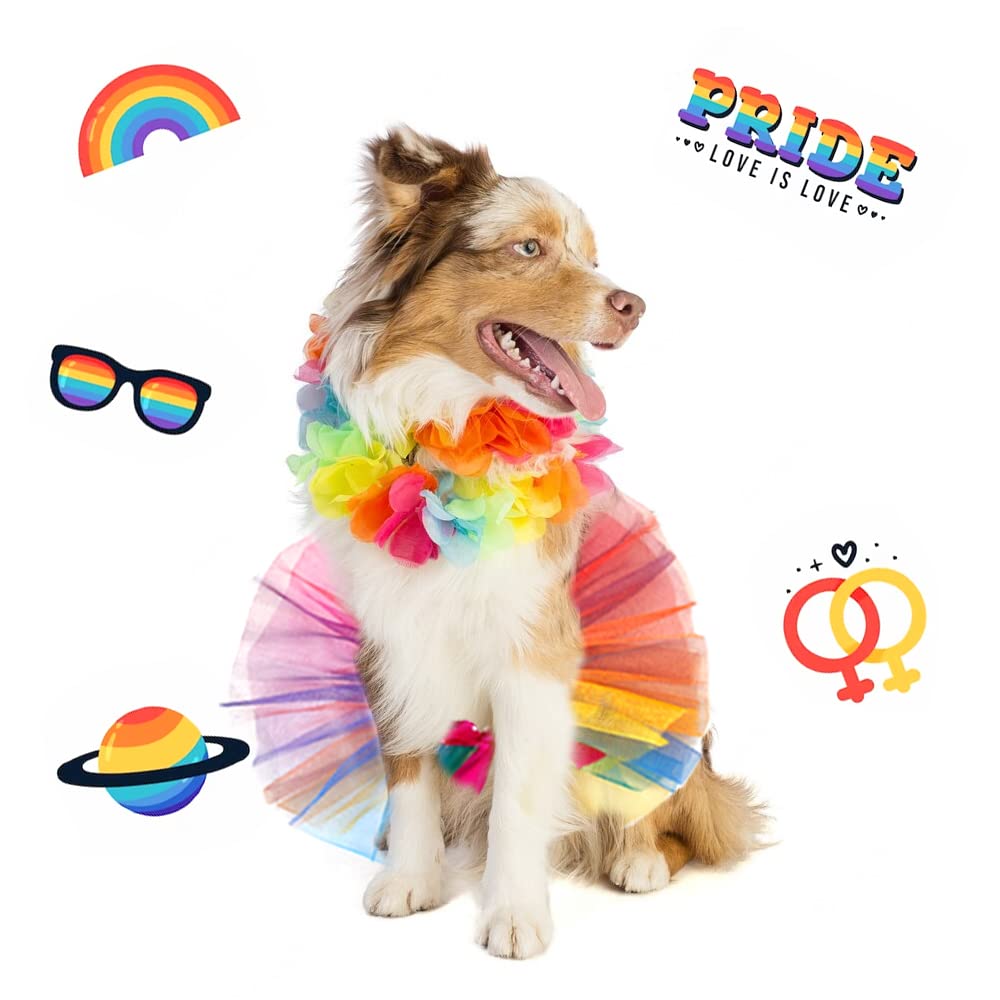 Rainbow Pet Costume for Small & Medium Dogs & Cats - Pride Princess Dress, Christmas Tutu, Fancy Multicolor Collar - Perfect for Birthday Parties, Pride Events & Holiday Celebrations (Large)