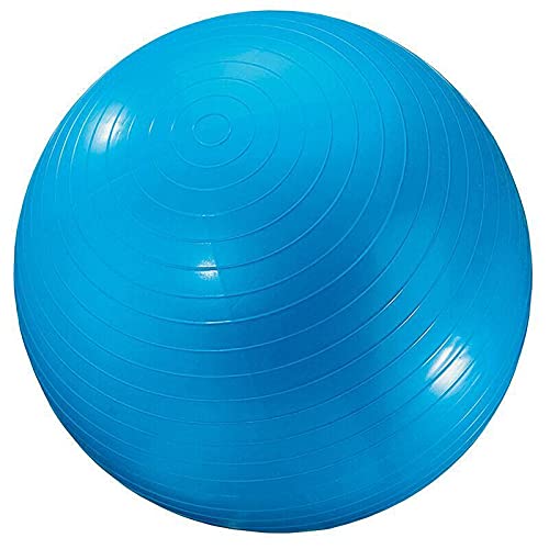 ANTY 24IN Blue Exercise Ball - Yoga, Pilates, Balance & Workout Ball for Home Gym, Office Desk & Fitness Training - Anti-Burst Stability Ball for Core Strength & Weight Loss