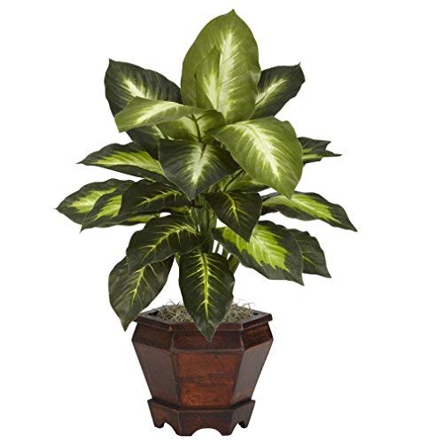 Nearly Natural Dieffenbachia Silk Plant Set of 2 with Wood Vase - Realistic Artificial Tropical Foliage for Home Decor, Office, Living Room & Indoor Spaces