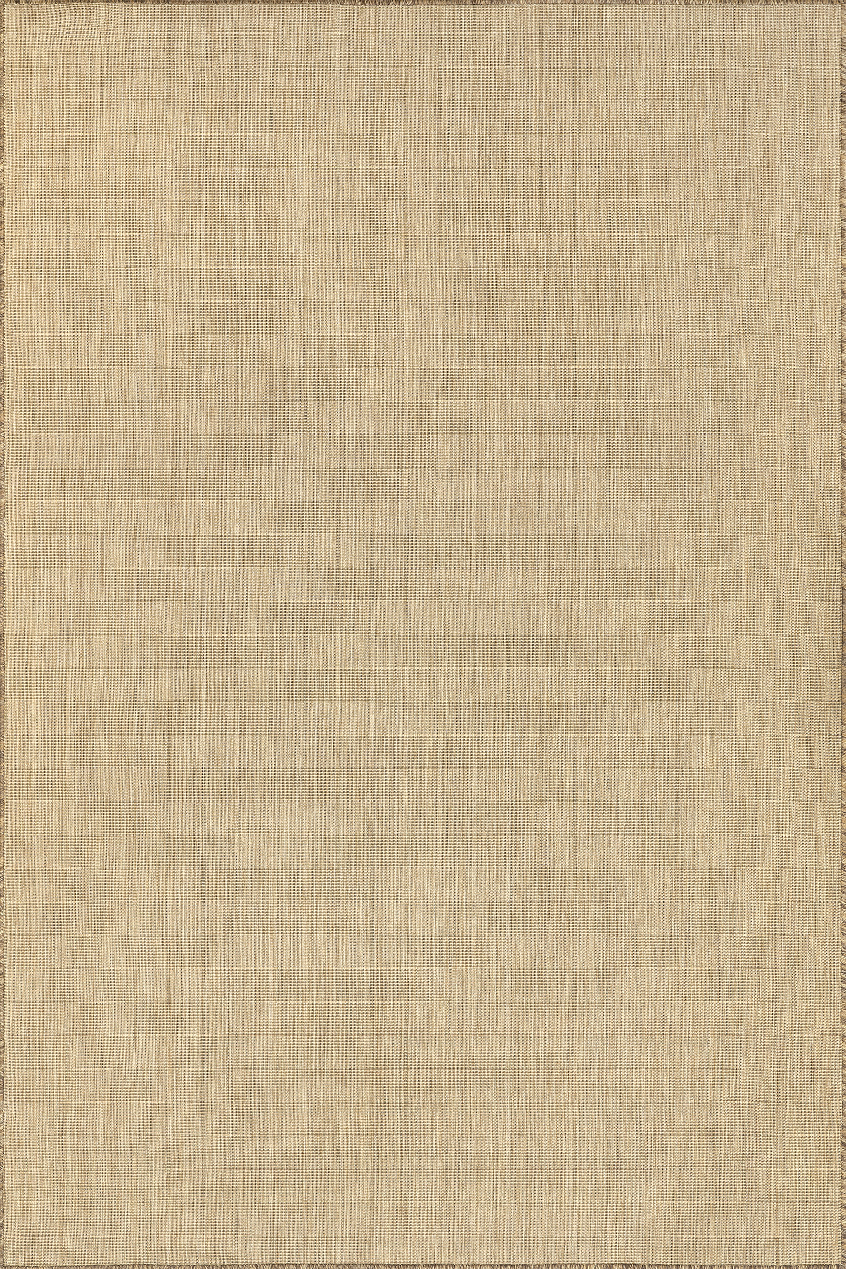 Dorinda Hazy Solid Indoor/Outdoor Rug - Soft & Durable Brown Area Carpet for Living Room, Patio, Bedroom | Water-Resistant & Easy to Clean