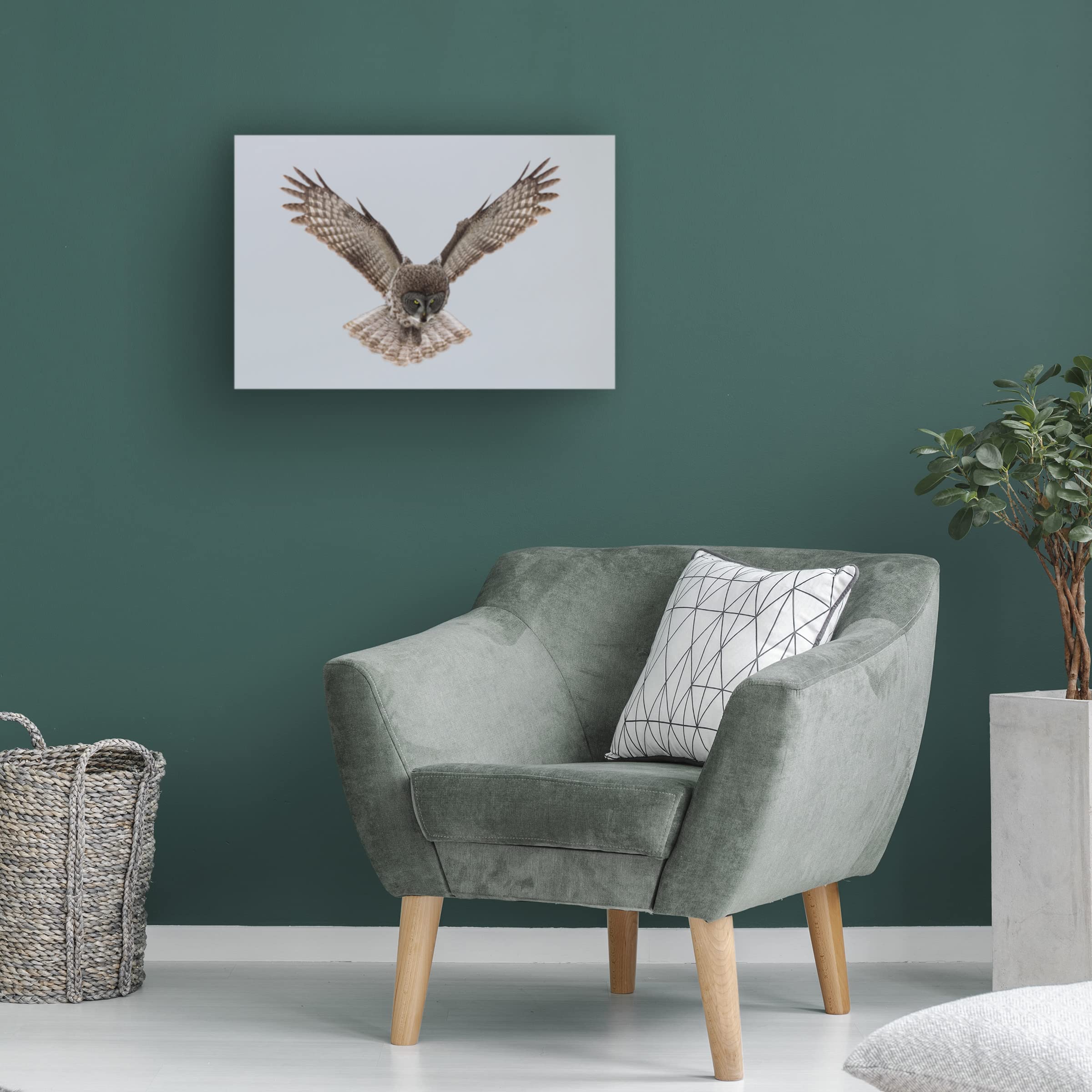 Trademark Fine Art 'Great Grey Owl' Canvas Wall Art Print by Sufang Wang - Nature Inspired Home Decor for Living Room, Bedroom & Office