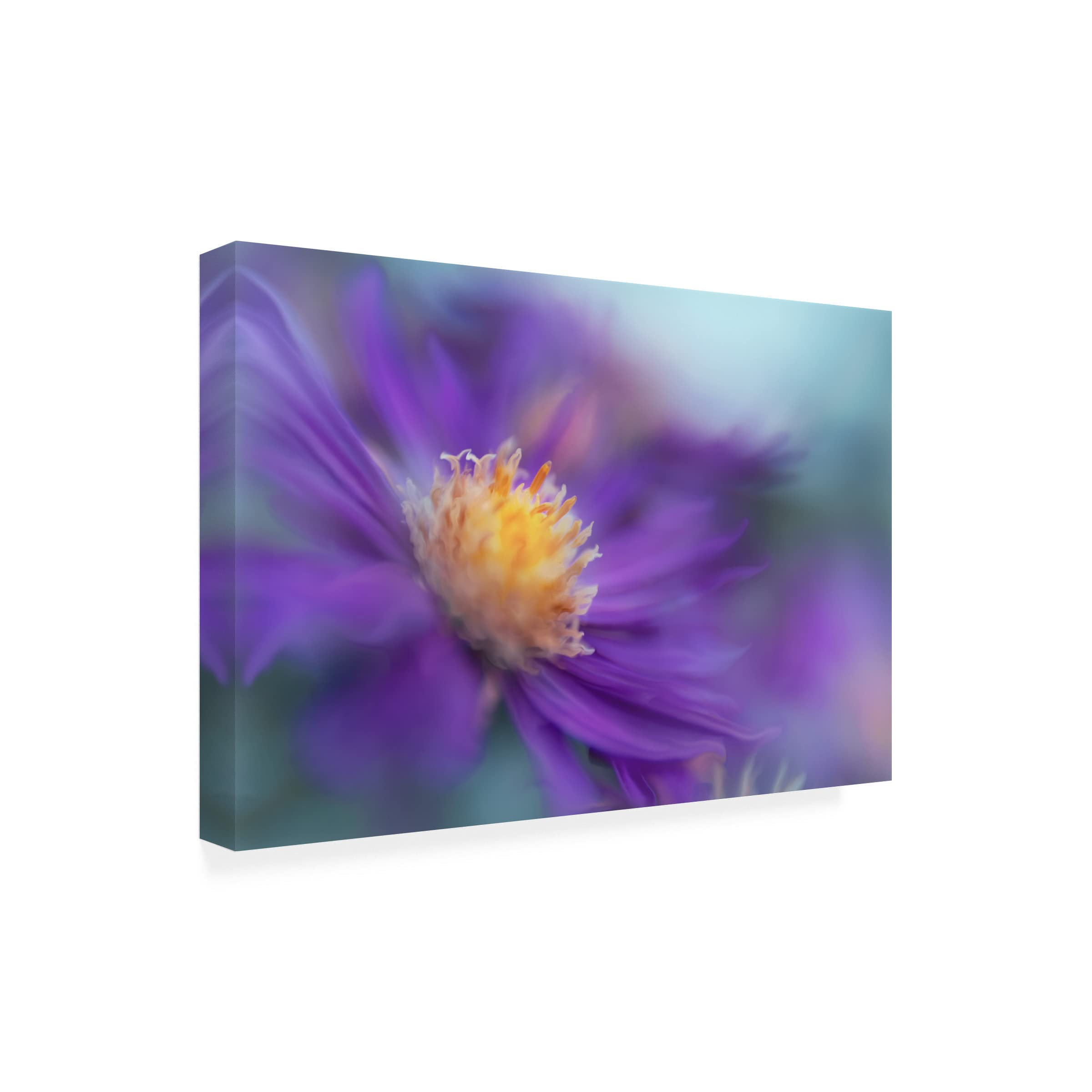 Trademark Fine Art 'Gold And Purple in the Mist III' Canvas Wall Art by Gillian Hunt - Elegant Home Decor for Living Room, Bedroom & Office