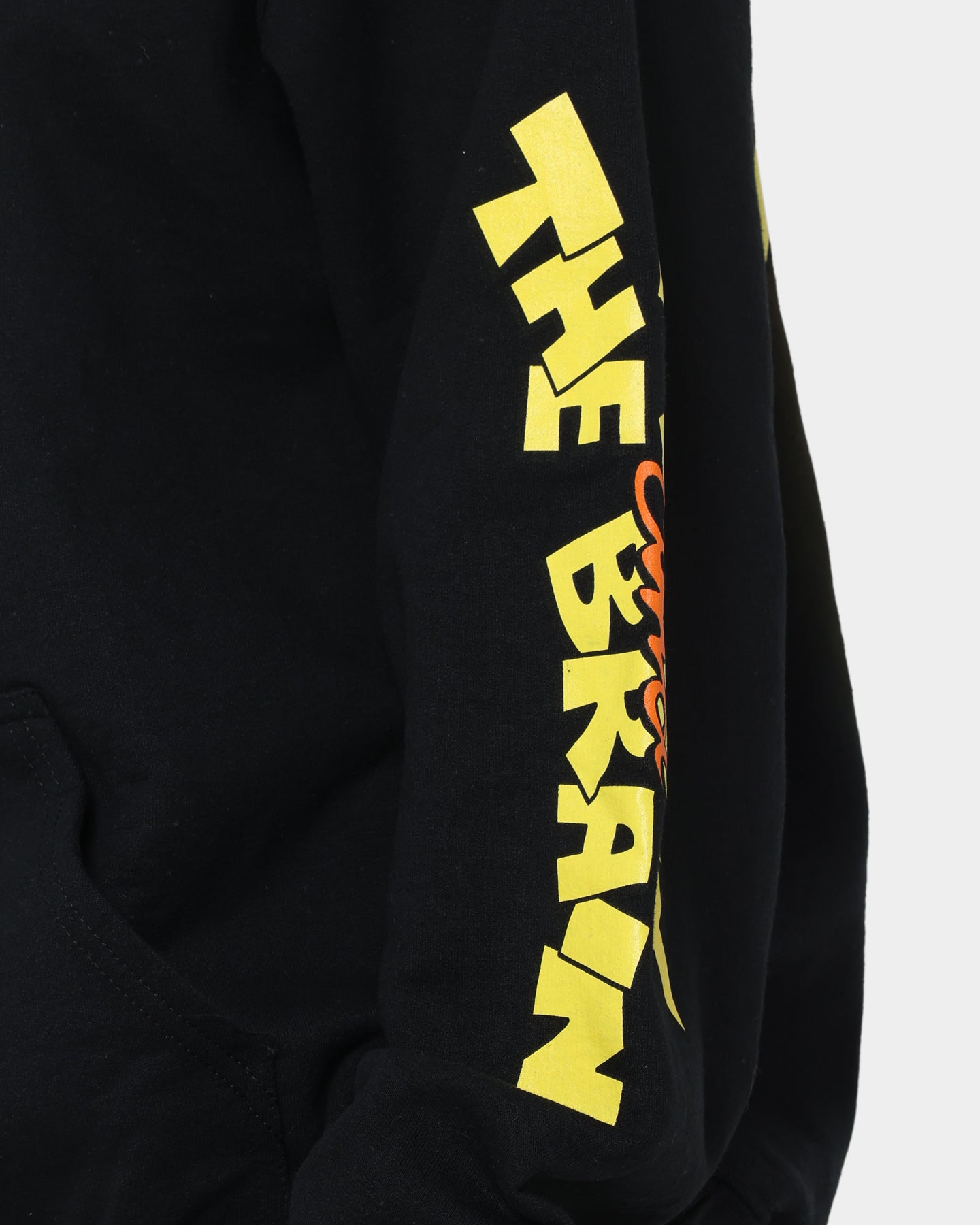 Pinky and The Brain Vintage Hoodie - Black Wash Retro Cartoon Sweatshirt for Men & Women | Perfect for Casual Wear, Cosplay, and 90s Nostalgia Fans