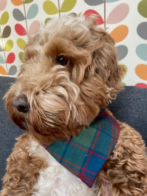 Stylish Plaid Dog Bandana for Small & Large Dogs - Adjustable & Comfortable Pet Accessory for Daily Walks, Photo Shoots & Special Occasions