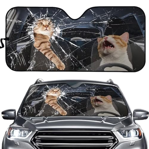 Funny Cat