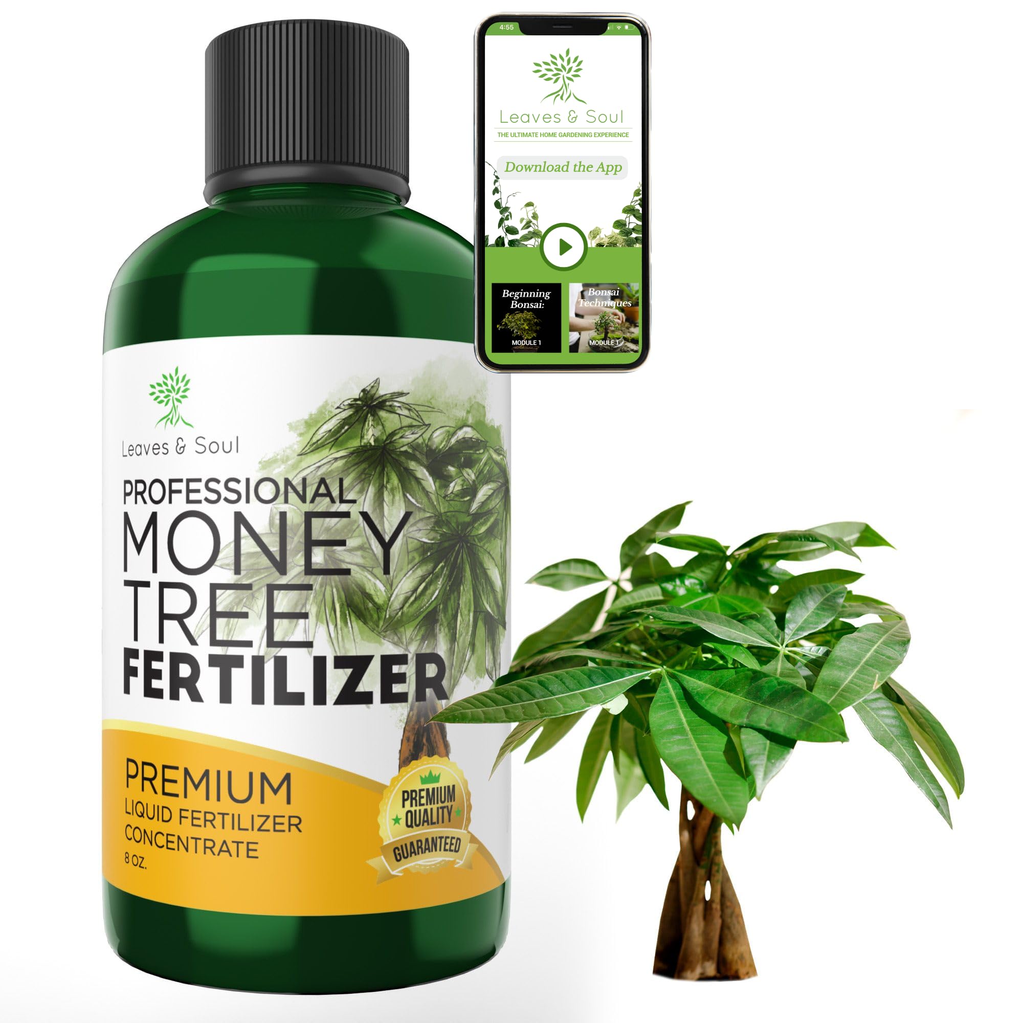 Premium Liquid Money Tree Fertilizer 3-1-2 Concentrate - All-Purpose Plant Food for Indoor & Outdoor Plants, Flowers, Trees - 8oz Bottle Gardening Supplies - Perfect for Home, Office, and Garden Use