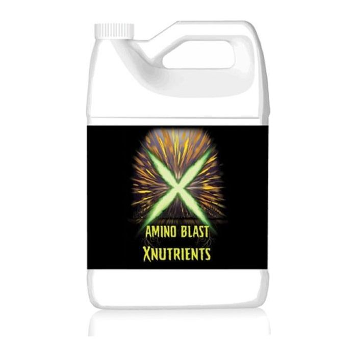 X Nutrients Amino Blast - Premium Amino Acid Supplement for Muscle Recovery & Growth | Post-Workout & Fitness Nutrition Boost