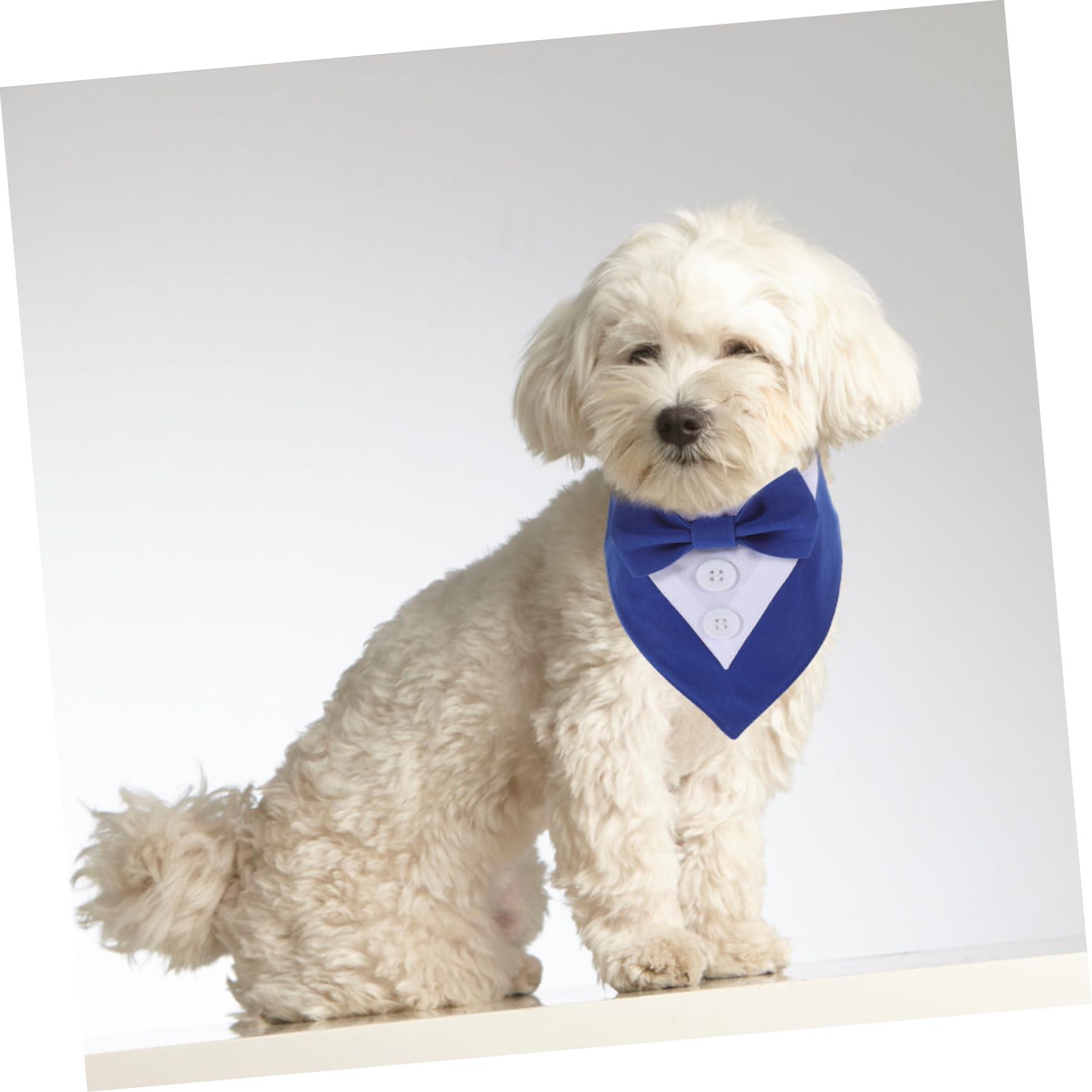 Premium Mipcase Dog Scarf - Adjustable Pet Bandana for Weddings, Parties & Special Occasions - Easy-Tie Blue XS Collar Accessory - Perfect for Pet Photo Shoots & Holiday Celebrations