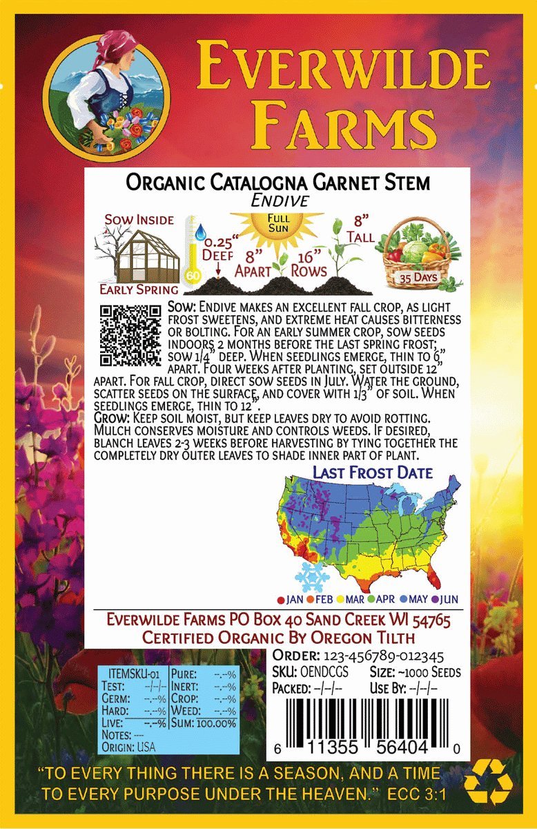 Organic Catalogna Garnet Stem Endive Seeds - 1 Oz Gold Vault Packet by Everwilde Farms - Heirloom Seeds for Home Gardening, Salad Greens & Gourmet Dishes