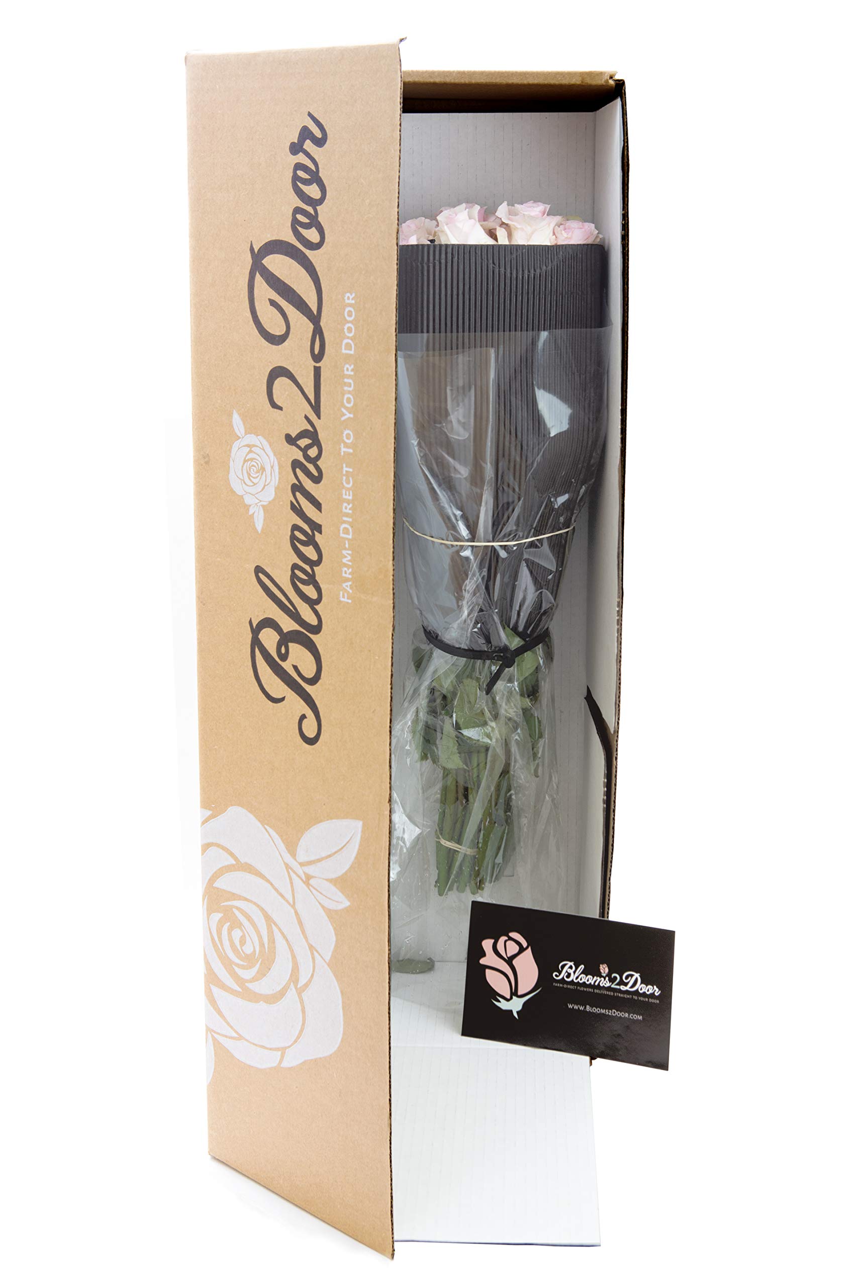 50 Pink Roses Long Stem (50cm) - Fresh Wholesale Flowers for Birthday, Anniversary, Mother's Day - Perfect Gift for Her, Romantic Decor, Wedding Bouquets & Special Occasions