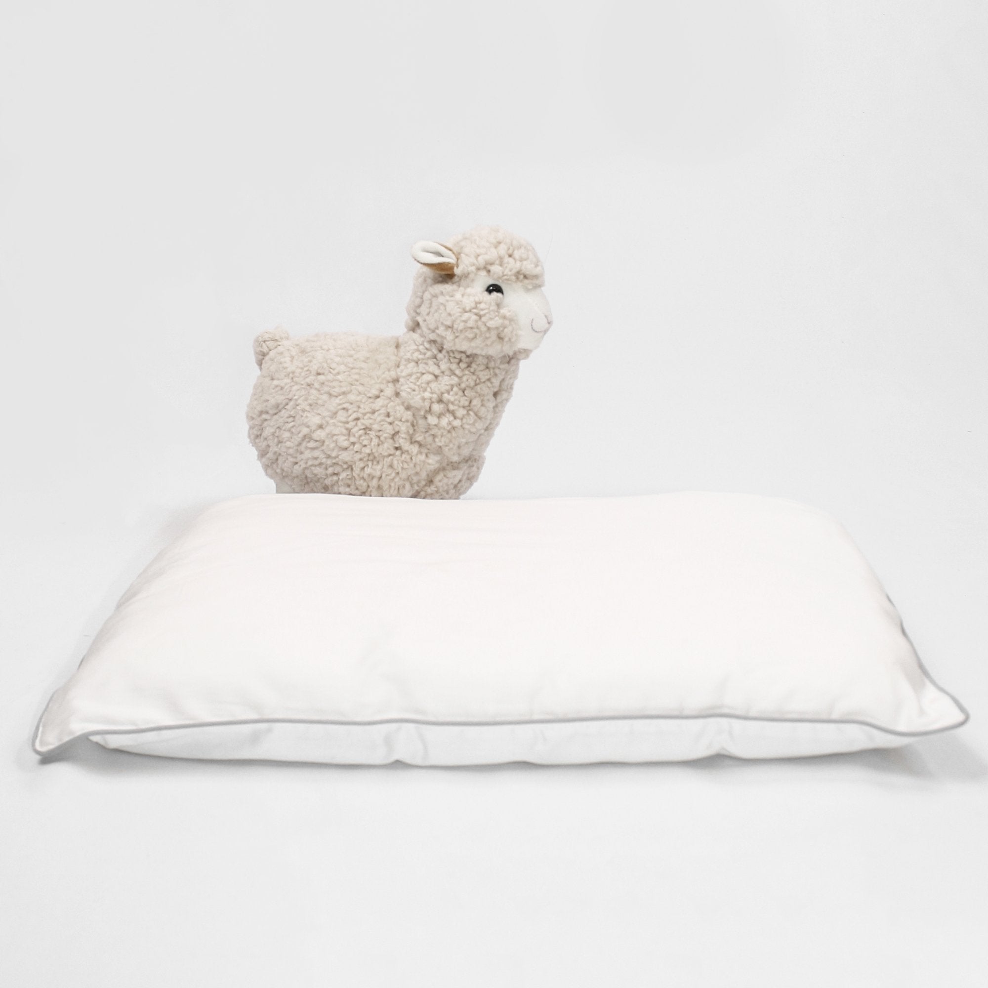 Organic Wool Pillow for Toddlers & Kids - 14x19 Inches - Hypoallergenic & Breathable - Perfect for Nursery, Daycare & Travel