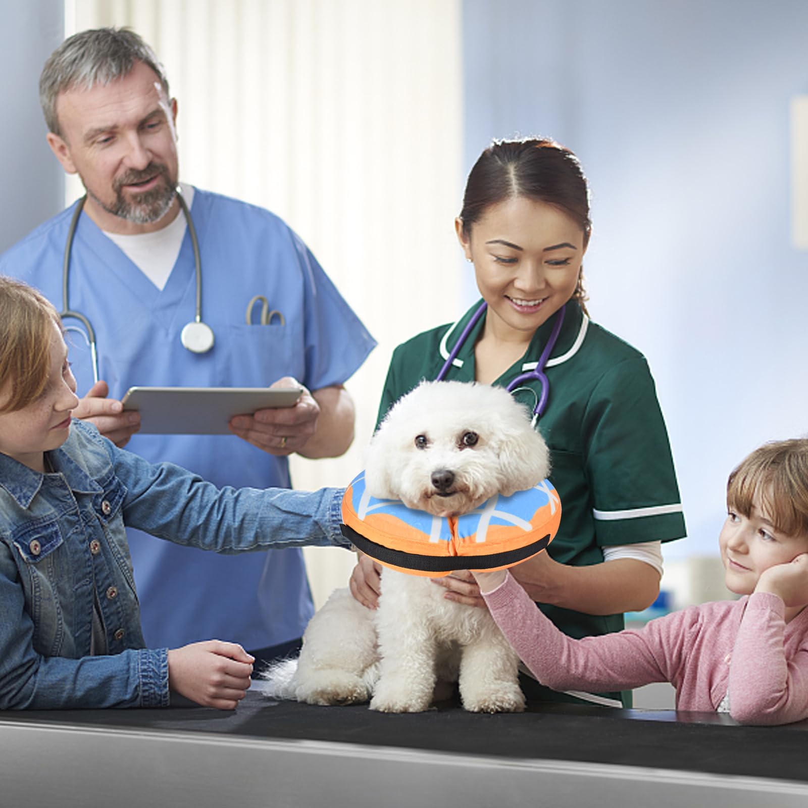Katoggy Inflatable Dog Cone Collar - Soft Adjustable Blow Up Donut E-Collar for Small, Medium & Large Dogs & Cats - Post Surgery Recovery, Wound Protection & Comfort (Ideal for Spay/Neuter, Injuries & Vet Visits)