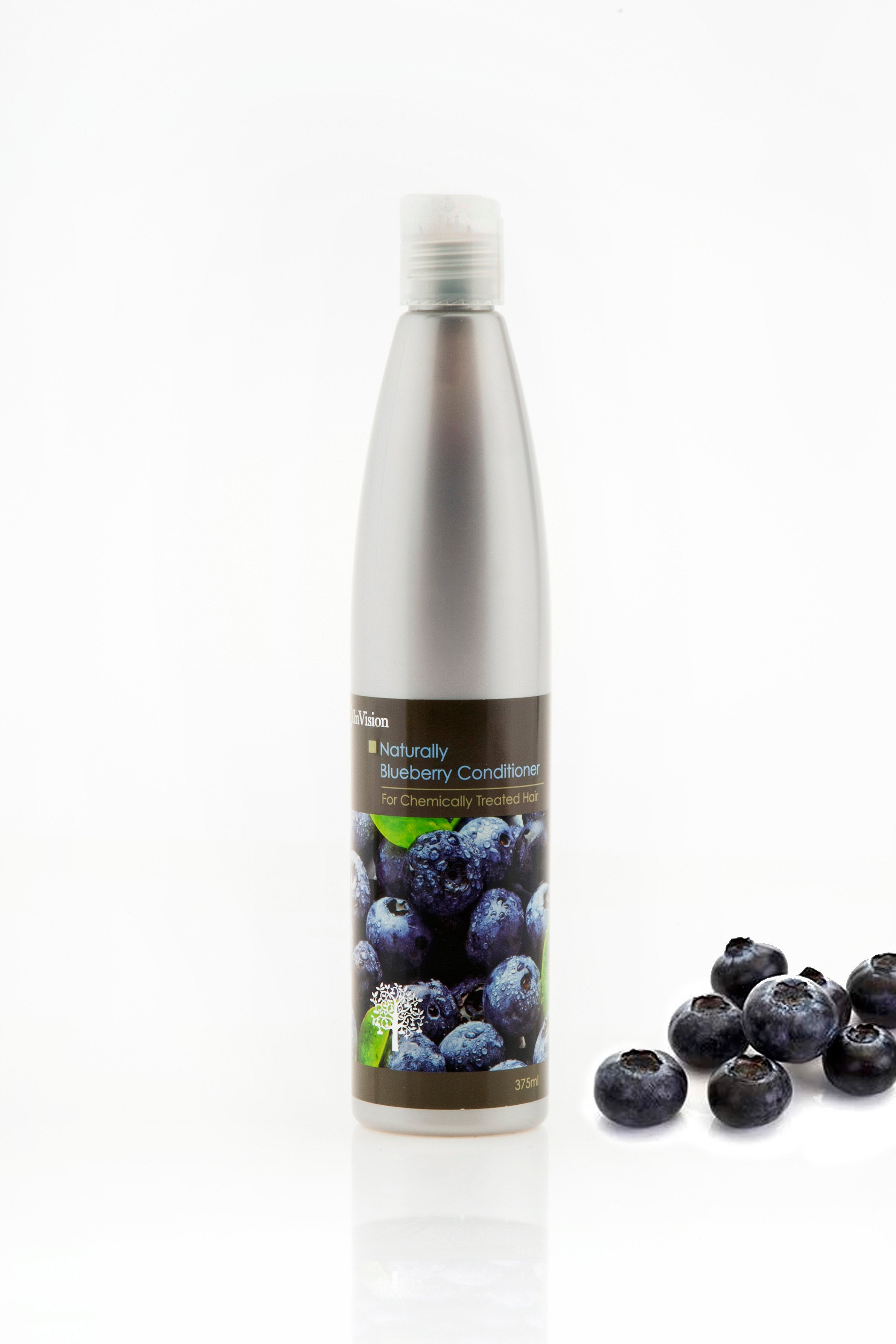 InVision Blueberry Hair Conditioner for Dry & Damaged Hair - Deep Moisturizing & Repair Treatment for Smooth, Shiny Hair - Perfect for Daily Use & Salon-Quality Results at Home