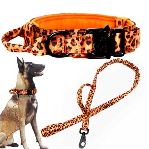 Leopard SET(collar+leash)