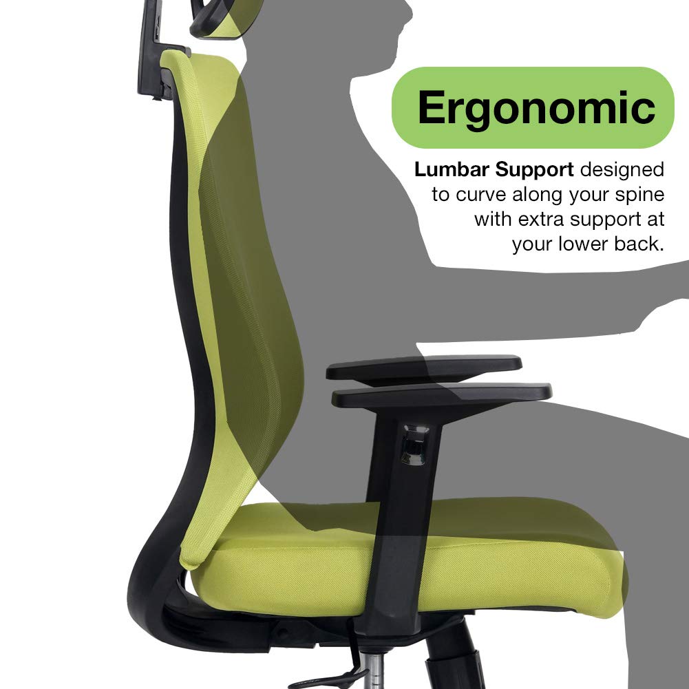 Modern Xelo Solo Mid-Back Ergonomic Office Chair - Adjustable Height Swivel Task Chair with Lumbar Support for Home & Office (Black/Gray) - Perfect for Long Work Hours, Gaming & Remote Work