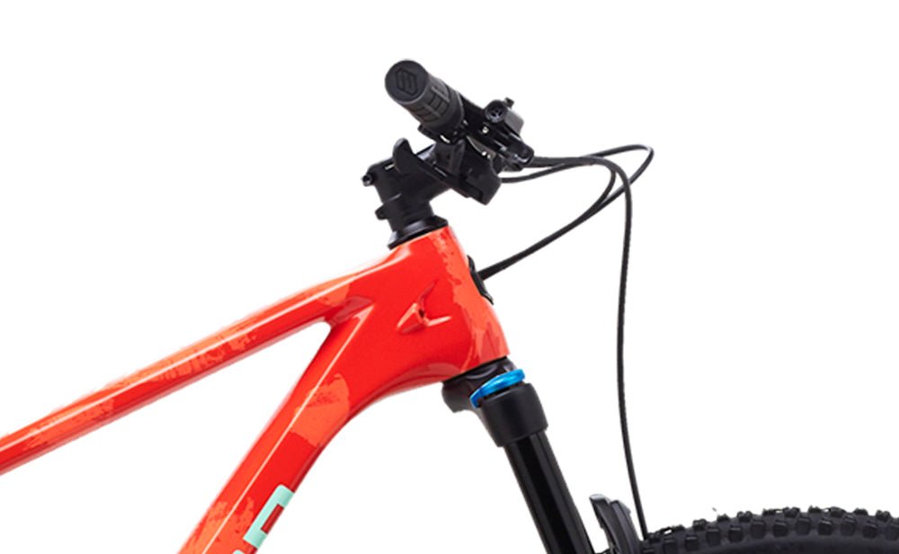 Polygon Syncline C5 Carbon Fiber Mountain Bike - Lightweight & Durable for Trail Riding & Off-Road Adventures