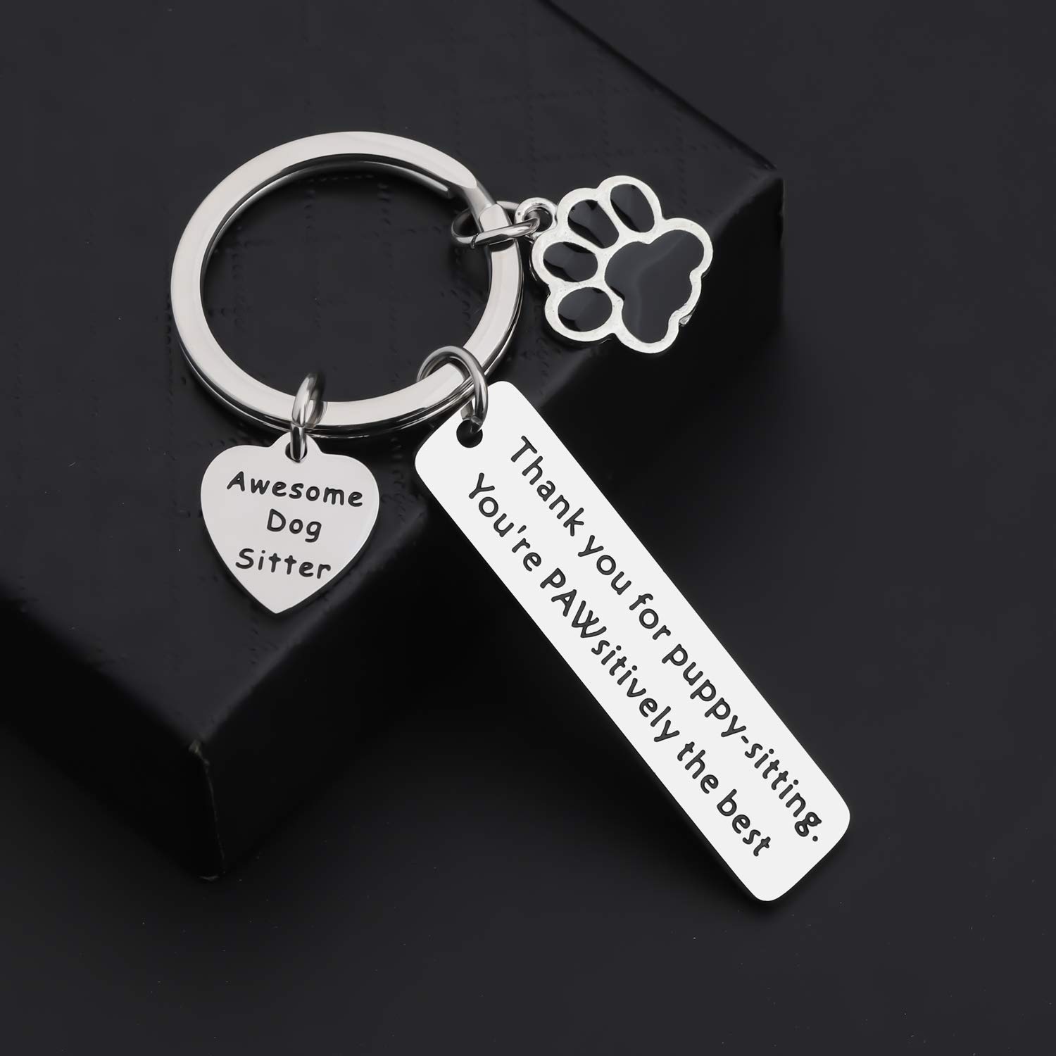Lywjyb Birdgot Dog Walker Thank You Gift - Cute Dog Sitter Keychain for Pet Lovers - Perfect for Dog Walking, Pet Sitting Appreciation & Veterinary Staff Gifts