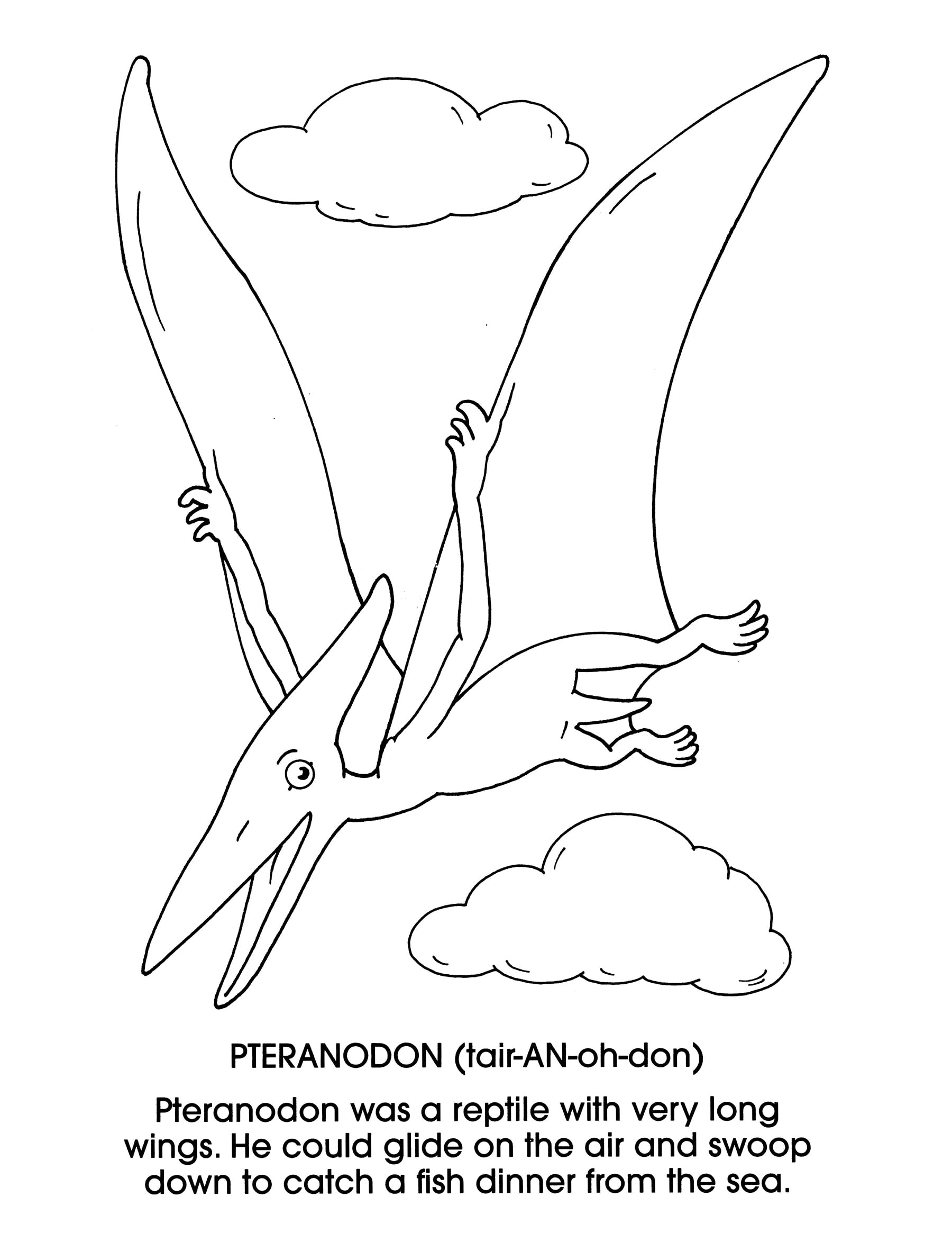 Dinosaurs Coloring Book for Kids & Adults - Dover Creative Relaxation & Stress Relief - Perfect for Home, School & Travel Activities