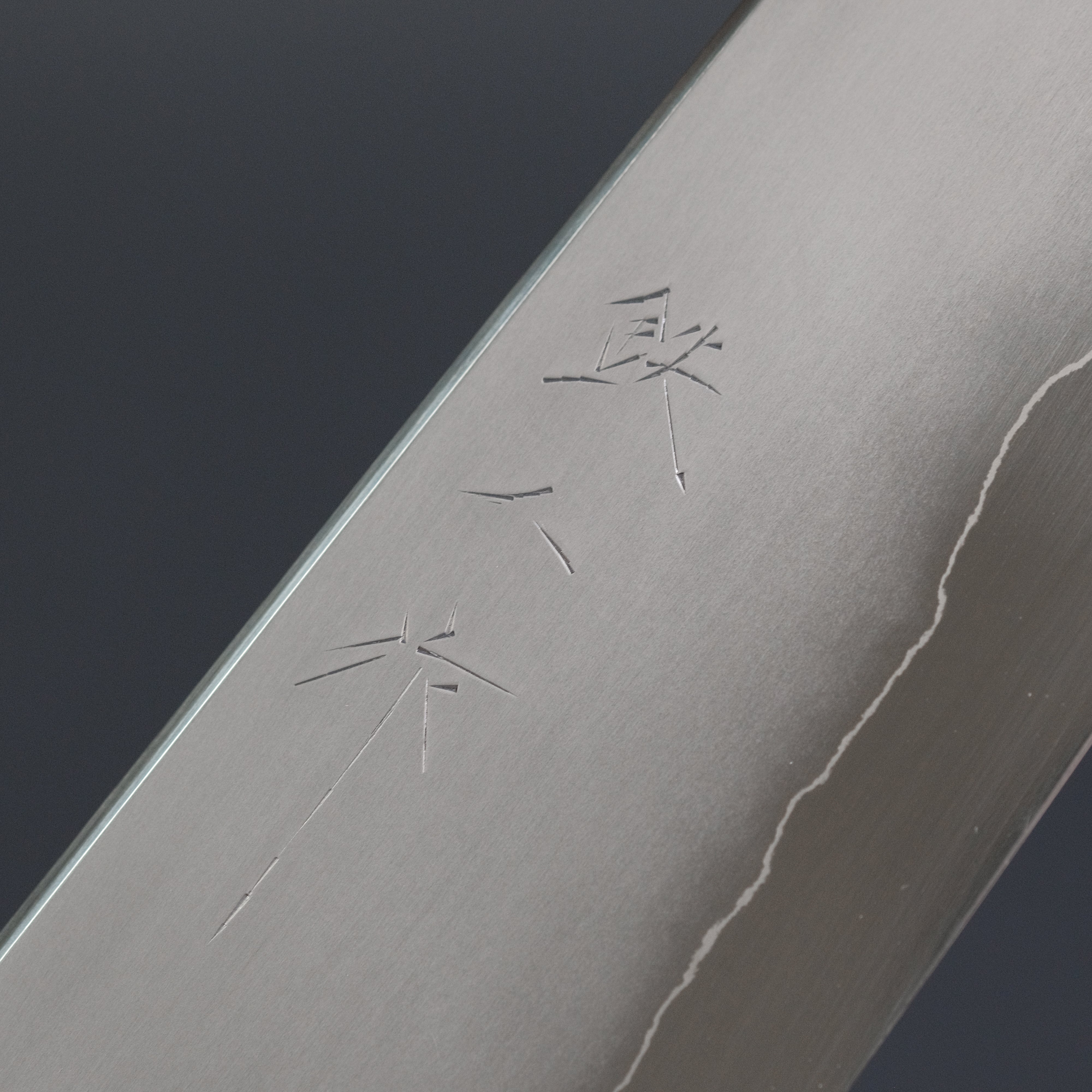Tetsujin Silver #3 Kasumi Gyuto 210mm Japanese Chef Knife with Yakusugi Cedar Handle - Professional Kitchen Knife for Sushi, Meat Cutting and Precision Cooking