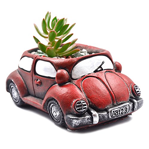 Red Car