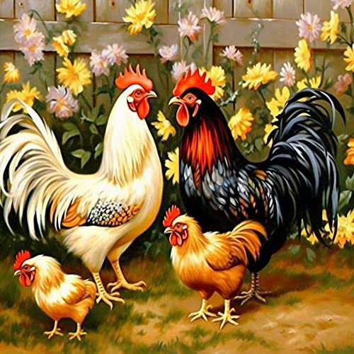 Rooster-8