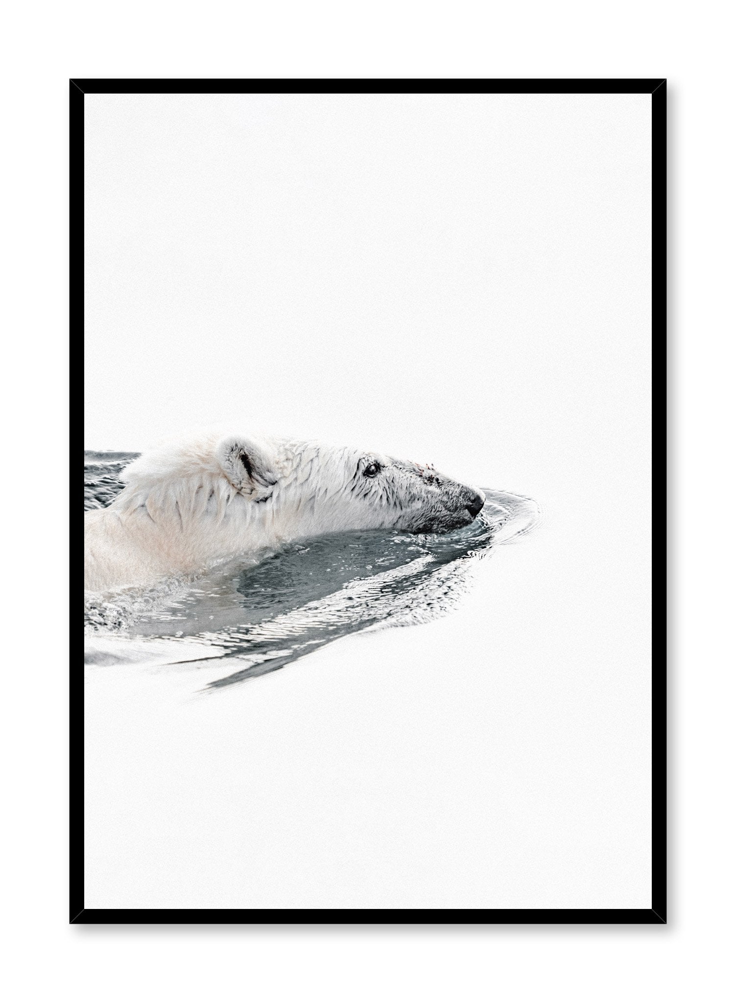 Polar Bear Wall Art Poster - Stunning Wildlife Photography for Home & Office Decor - Perfect for Living Room, Bedroom, or Classroom