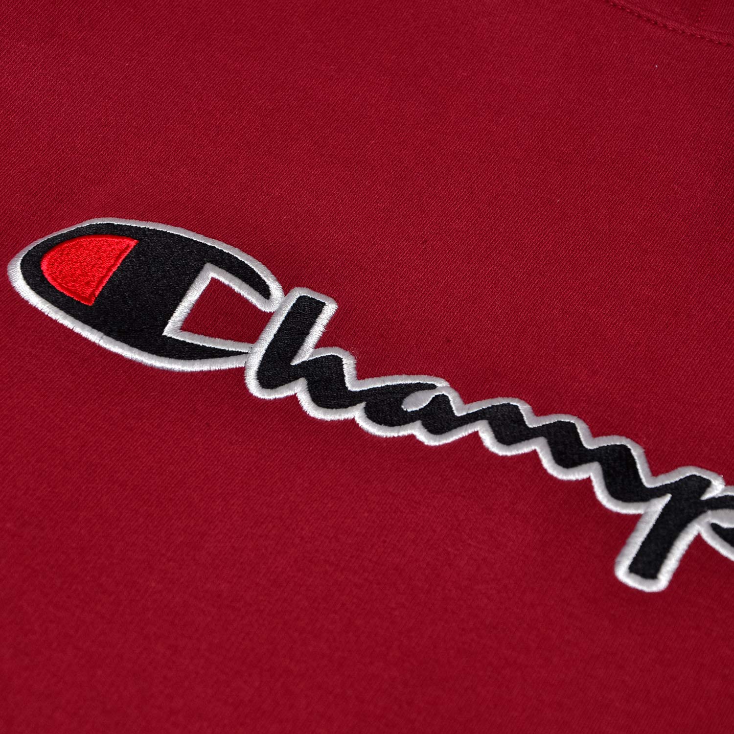 Champion Men's Big & Tall Fleece Hoodie - Embroidered Pullover Sweatshirt for Casual Wear, Gym & Outdoor Activities