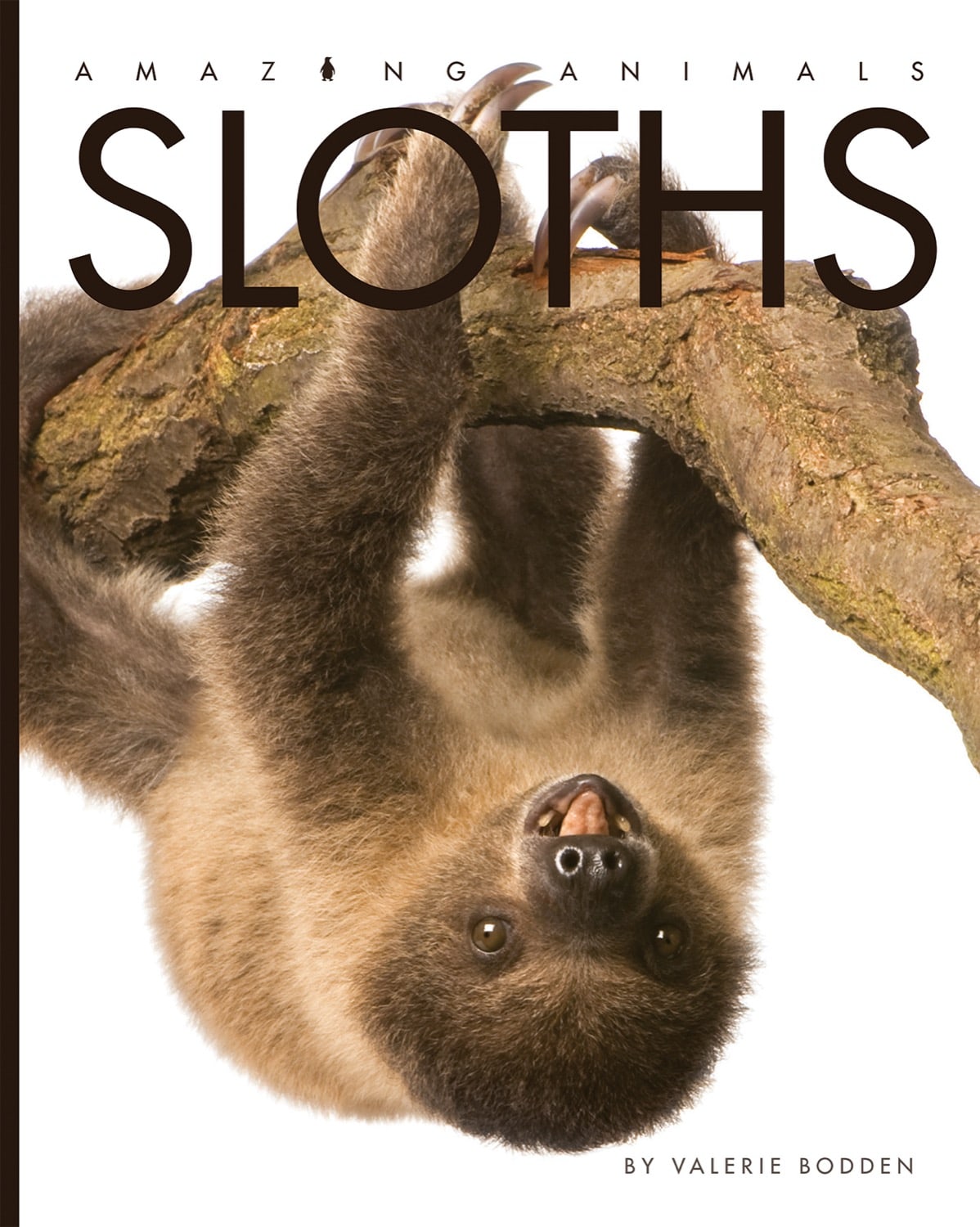 Amazing Animals (2014) - Sloths Documentary | Wildlife Nature Film | Perfect for Animal Lovers & Educational Screenings