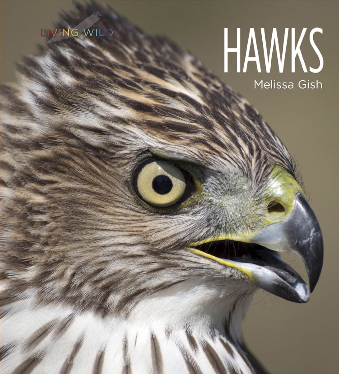 Hawks 978 1 60818 418 7 - Premium Quality Book for Collectors and Readers | Perfect for Gifts, Home Library, and Reading Enthusiasts