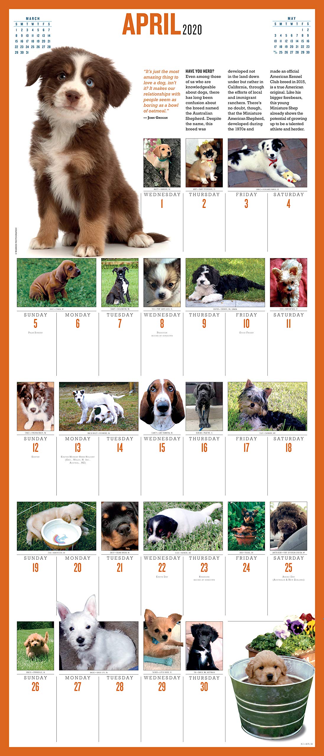 2020 Puppies Daily Wall Calendar - 365 Adorable Puppy Pictures for Dog Lovers | Perfect for Home, Office & Gift Giving
