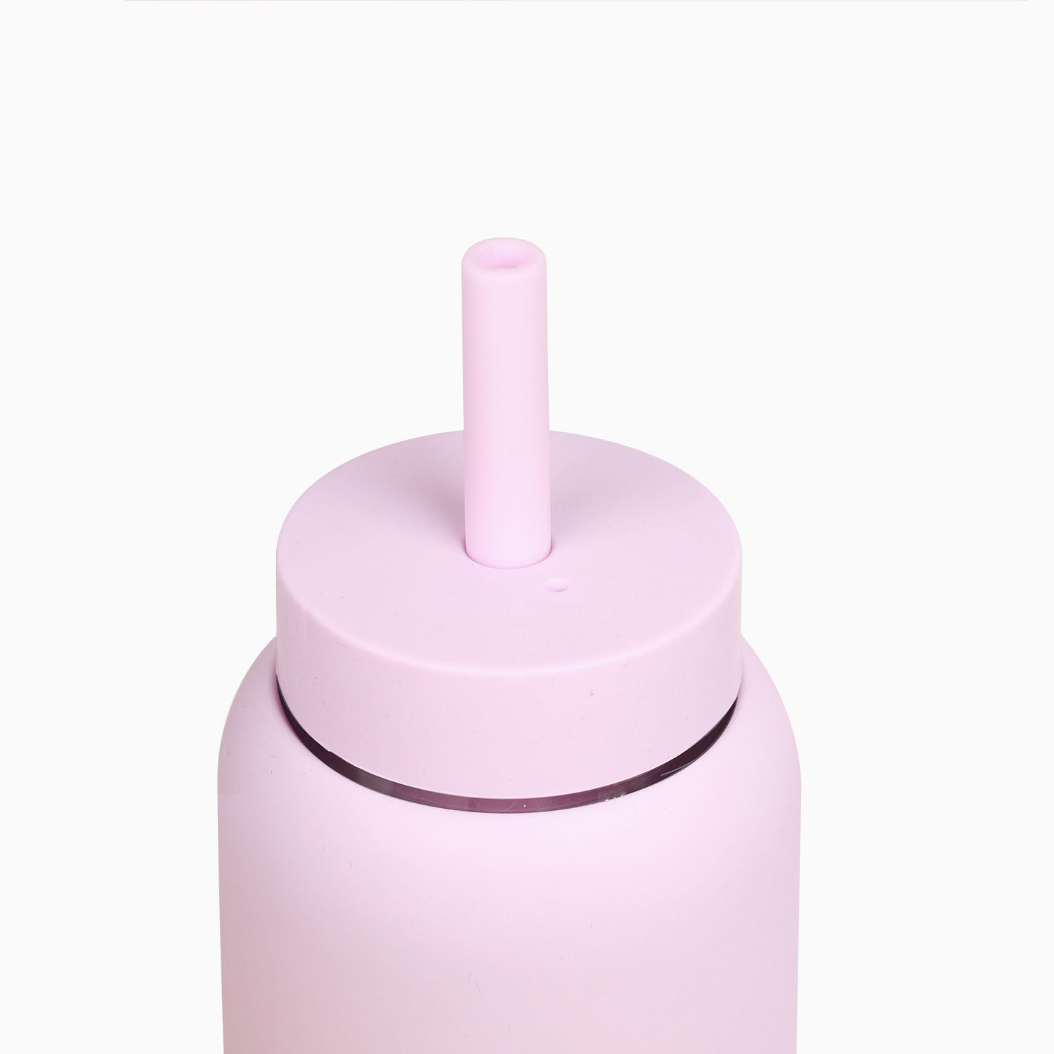 17oz Mini Bottle with Straw & Cap - Portable Water Bottle for Gym, Hiking, Travel & Outdoor Activities