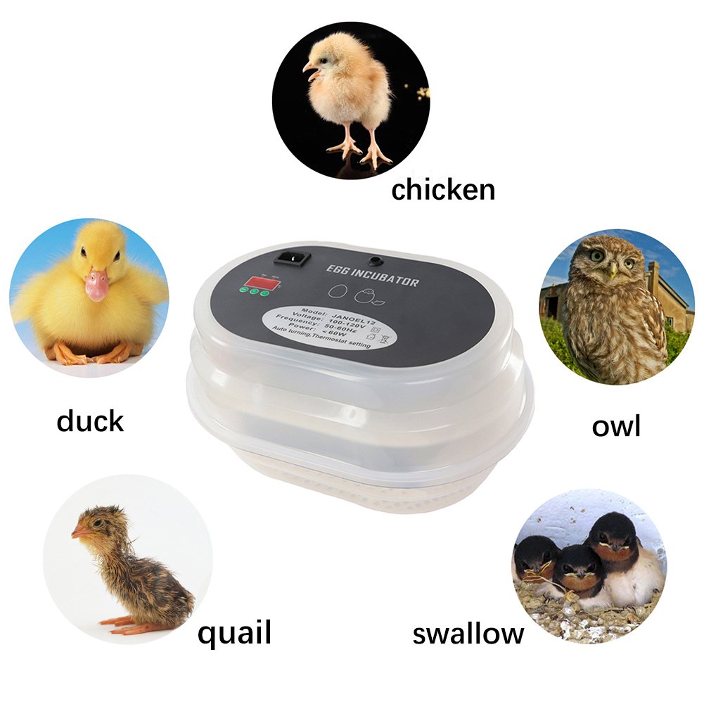 Automatic Egg Incubator for Hatching Chicken, Duck & Bird Eggs - 12 Egg Capacity with Auto Turning & Temperature Control - Perfect for Poultry Farming, Backyard Hatchery & Educational Projects