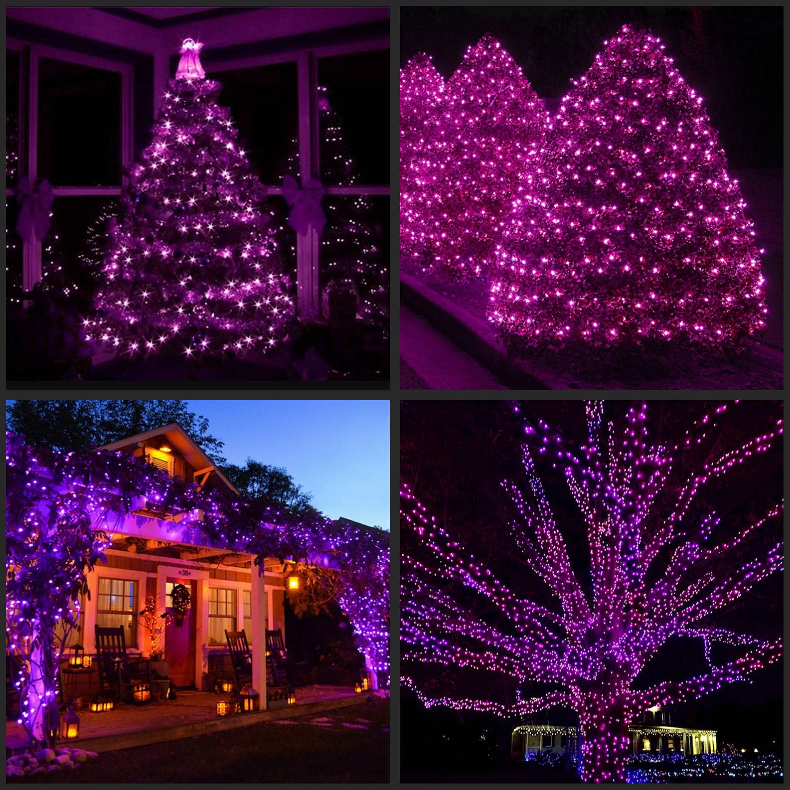 YULETIME 66ft 200-Count Purple Halloween String Lights with Black Wire - UL Certified Christmas Lights, 2 Pack (33ft 100-Count Each) - Perfect for Indoor/Outdoor Halloween Decor, Christmas Tree Lighting & Party Decorations