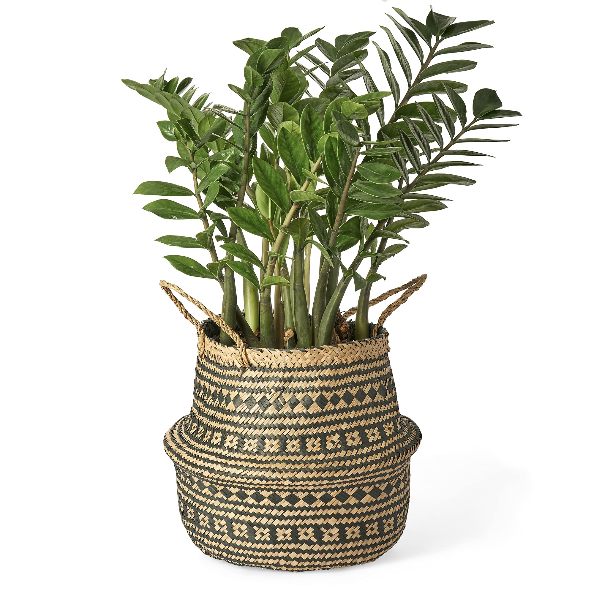 Artera Woven Seagrass Plant Basket with Plastic Liner - Natural Wicker Planter with Handles for Indoor Plants Like Fiddle Leaf Fig, Snake Plant & Monstera | Perfect for Home Decor, Living Room, Bedroom or Office (Medium, Black Striped)