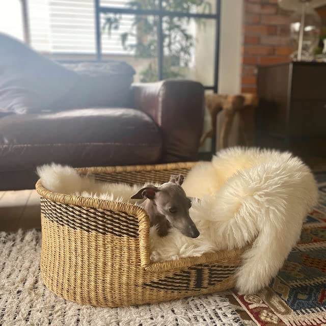 Woven Dog Bed Basket - Comfortable & Elegant Pet Bed for Small to XXL Dogs - Durable Large Dog Bed for Home Decor - Perfect Gift for Dog Lovers (Large, Bobo) - Ideal for Living Room, Bedroom & Pet-Friendly Spaces